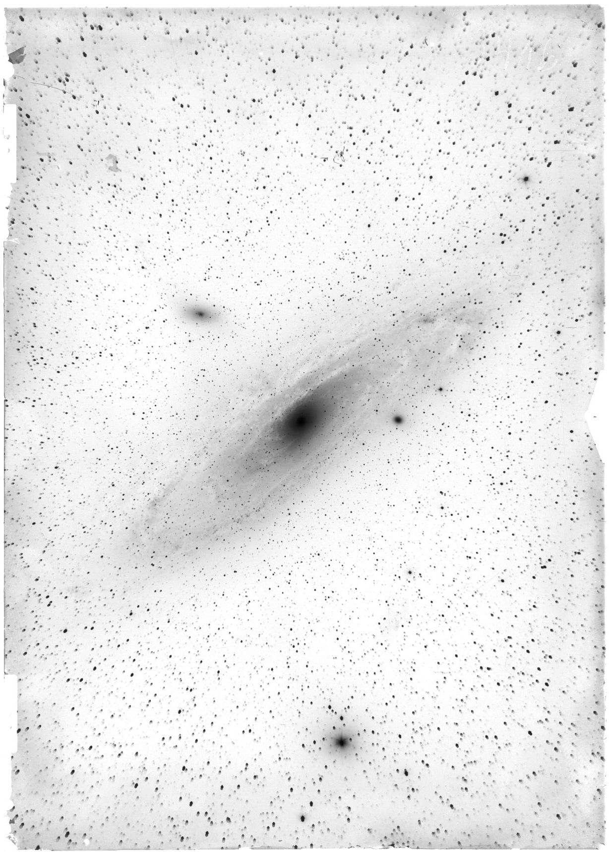 Andromedanebel, 1m-Spiegelteleskop, vom 24.10.1924, Richard Schorr