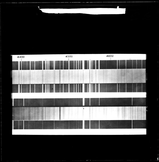 Ib__008 