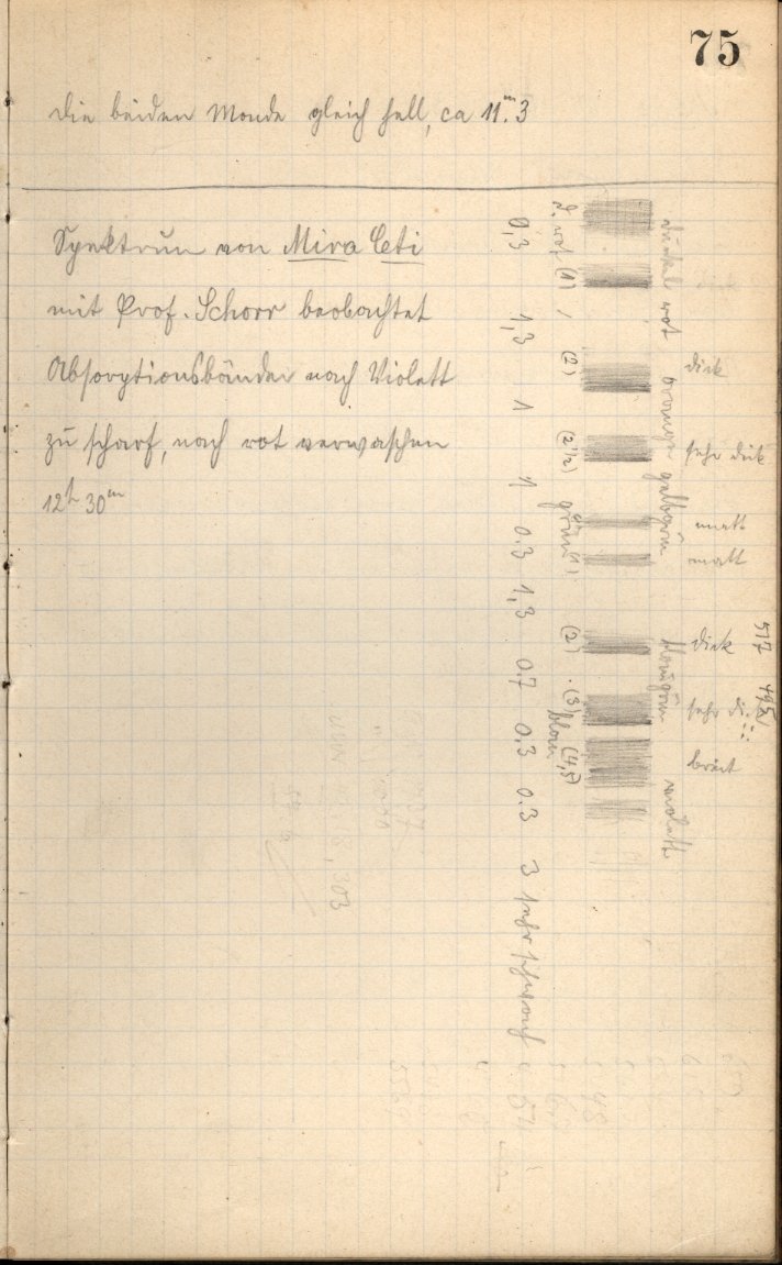 Anzeige von Logbuecher/Aequatorial/LB01/1909-10-18d.jpg