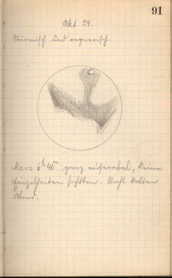Anzeige von Logbuecher/Aequatorial/LB01/1909-10-24a.jpg