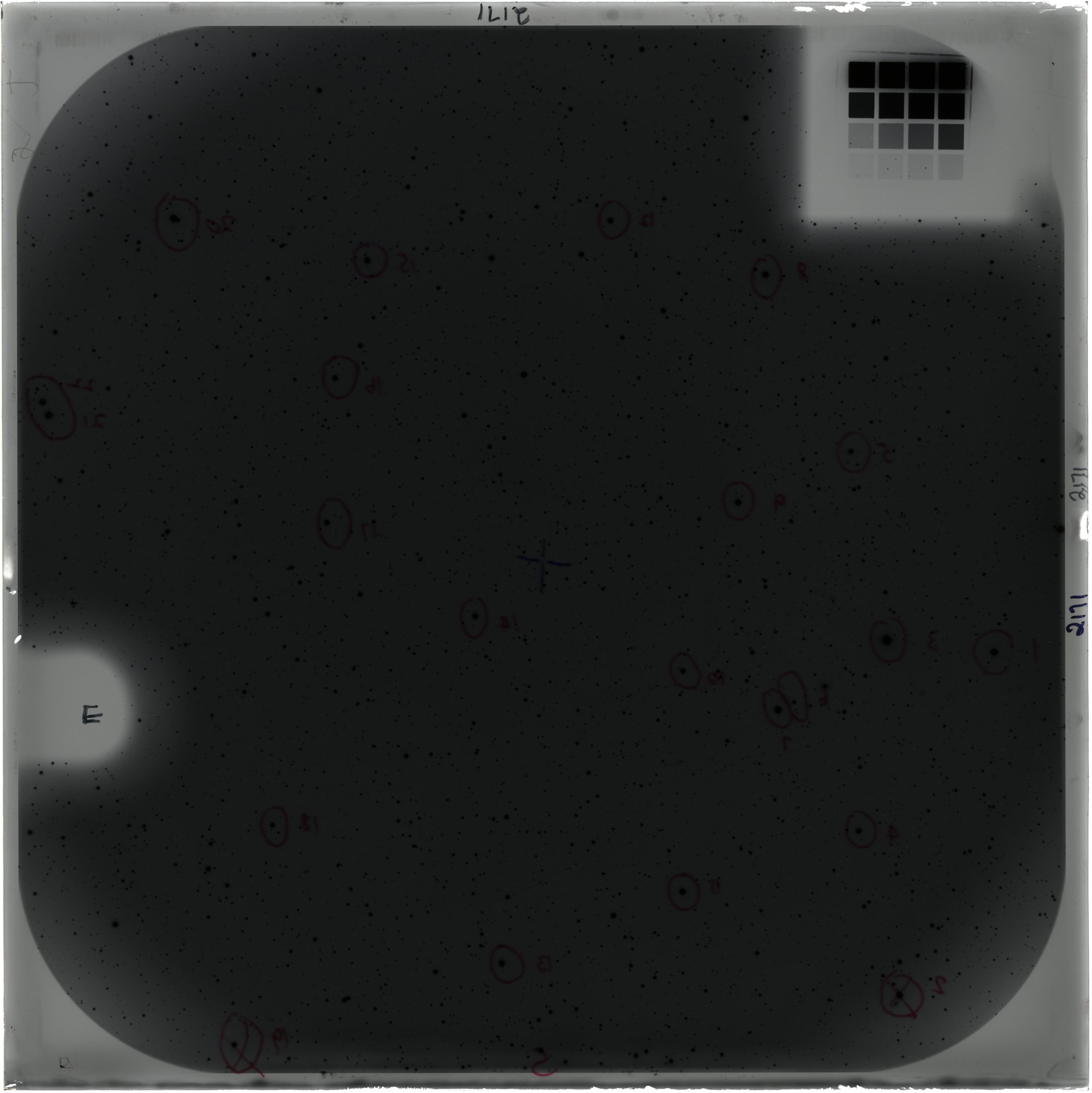 Scan AO02171