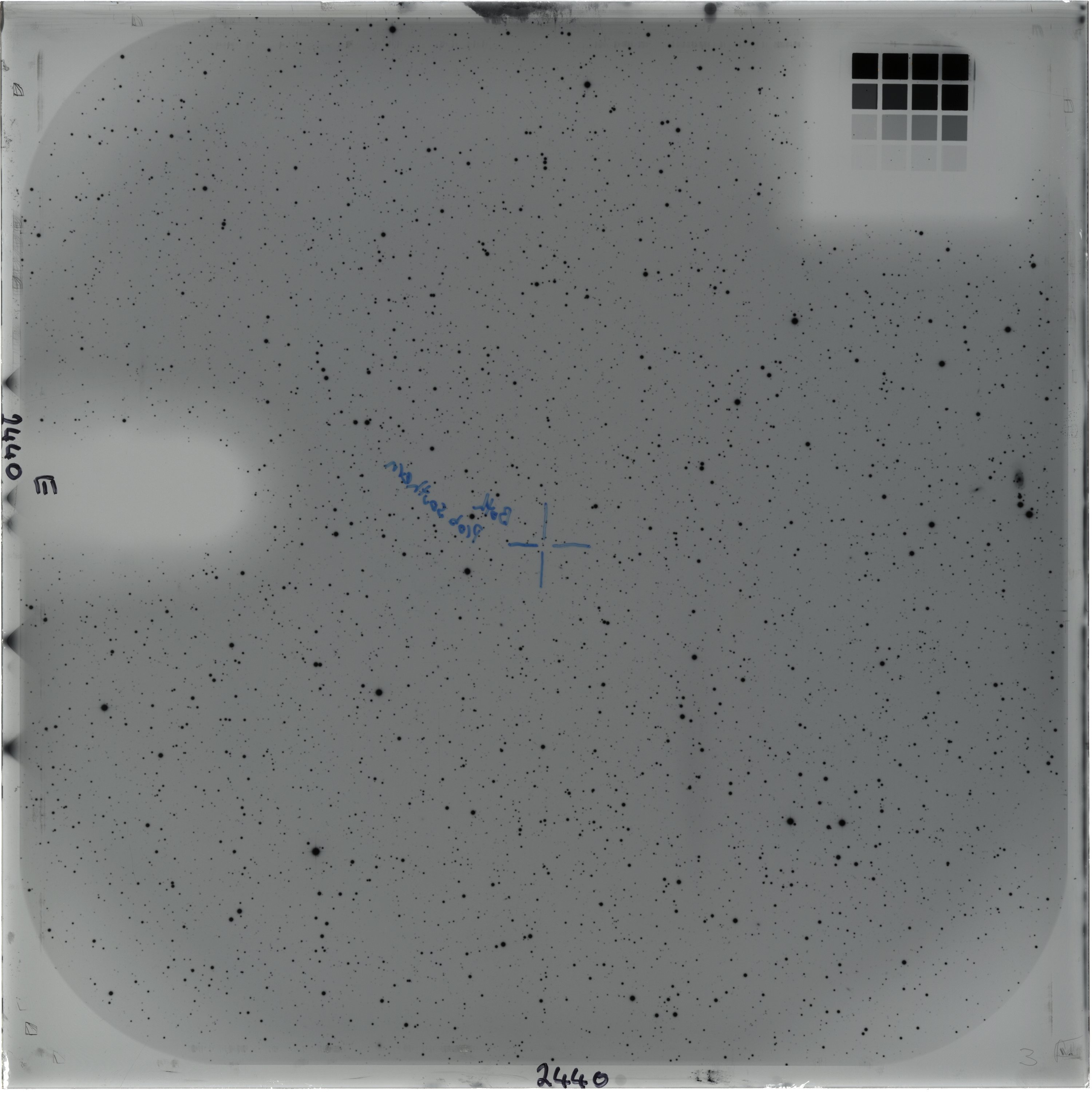 Scan AO02440