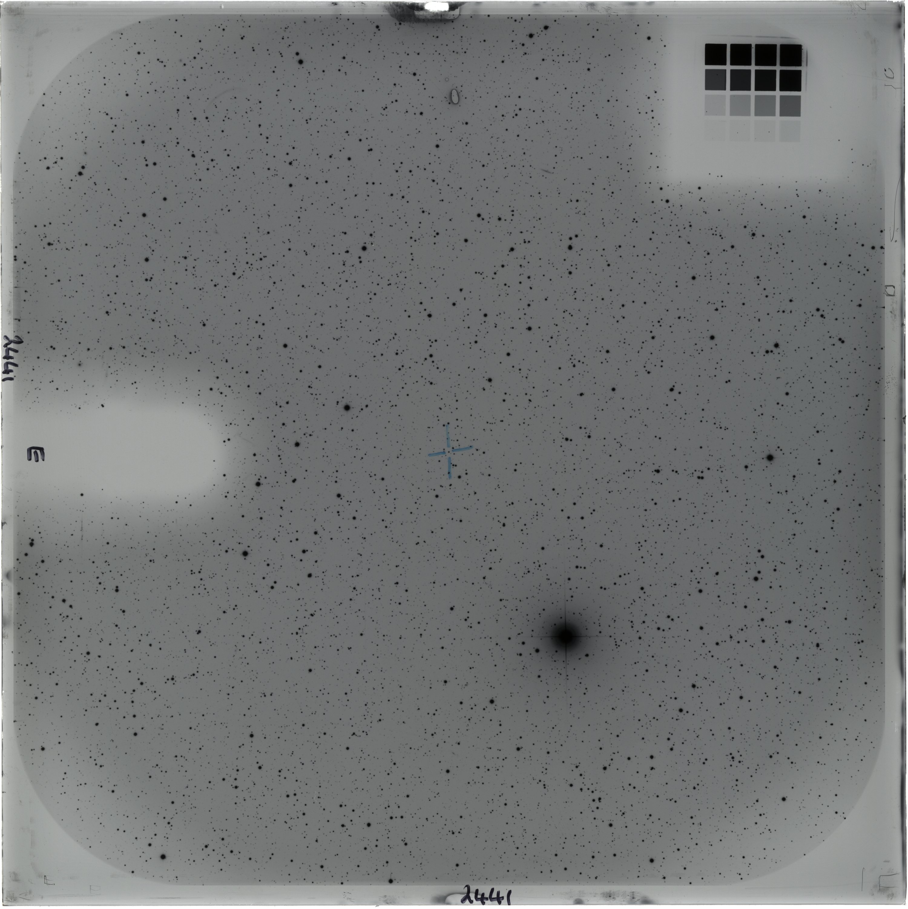 Scan AO02441