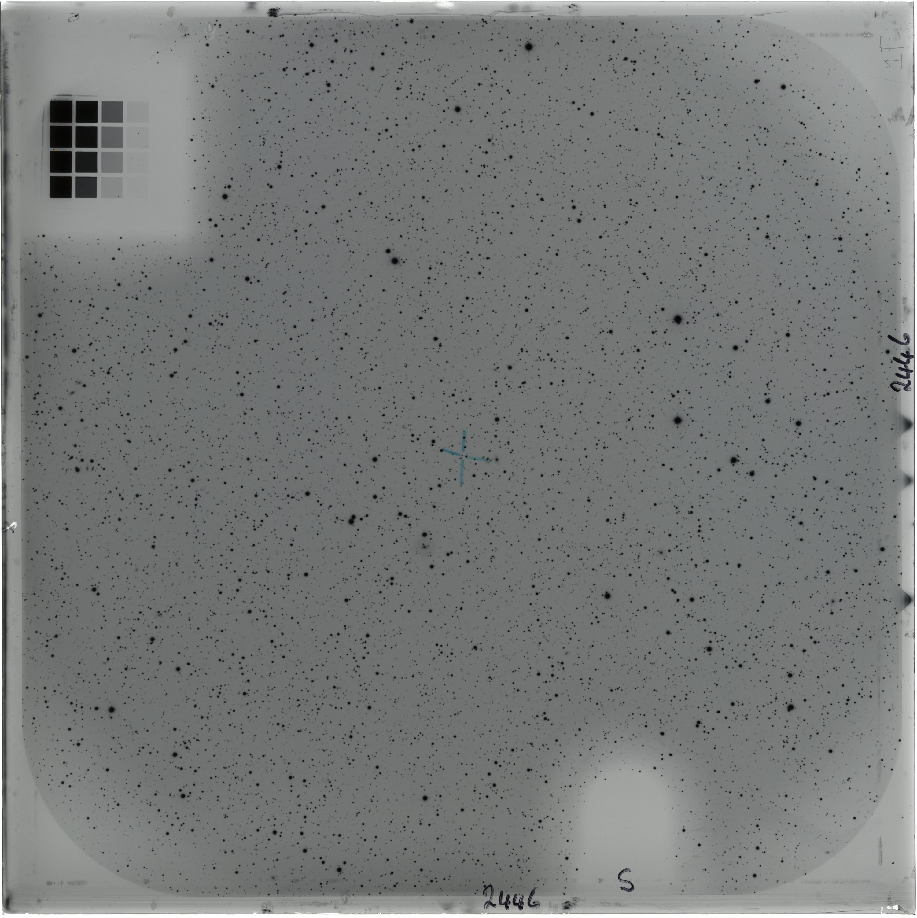 Scan AO02446