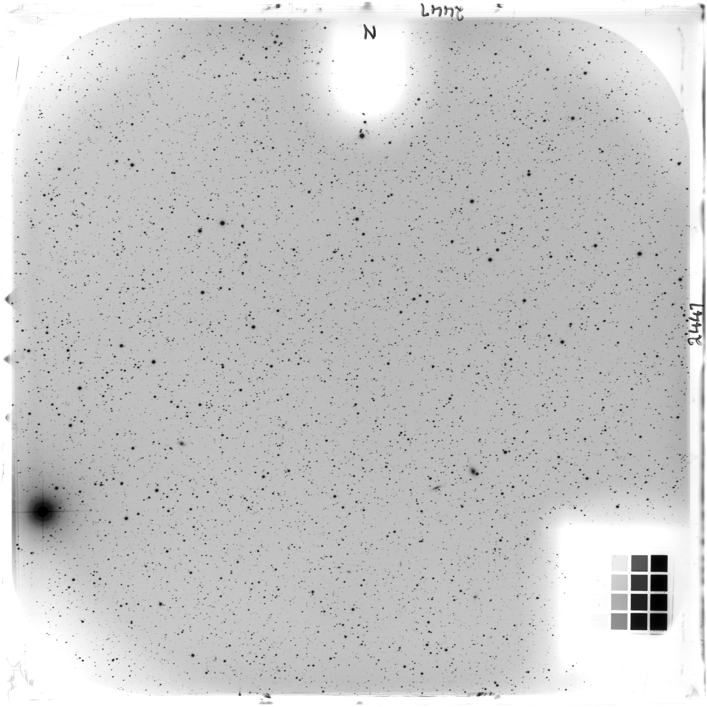 Scan AO02447