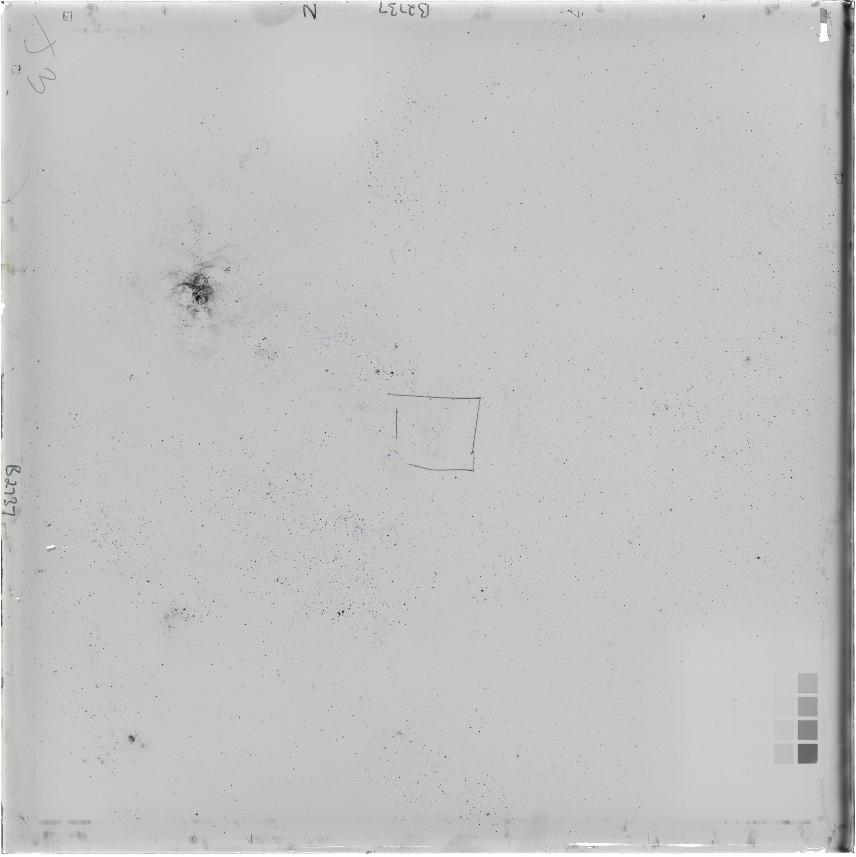 Scan AO02737