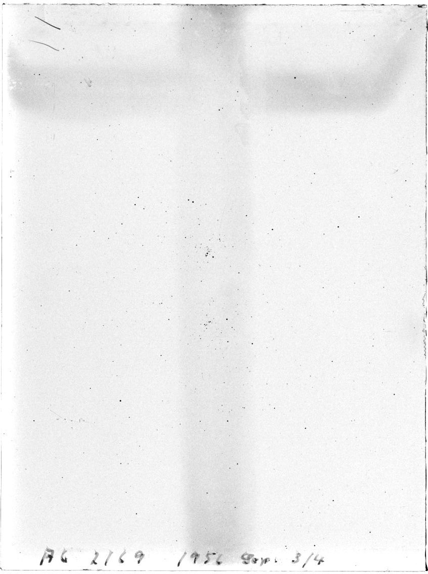 Scan AG02169