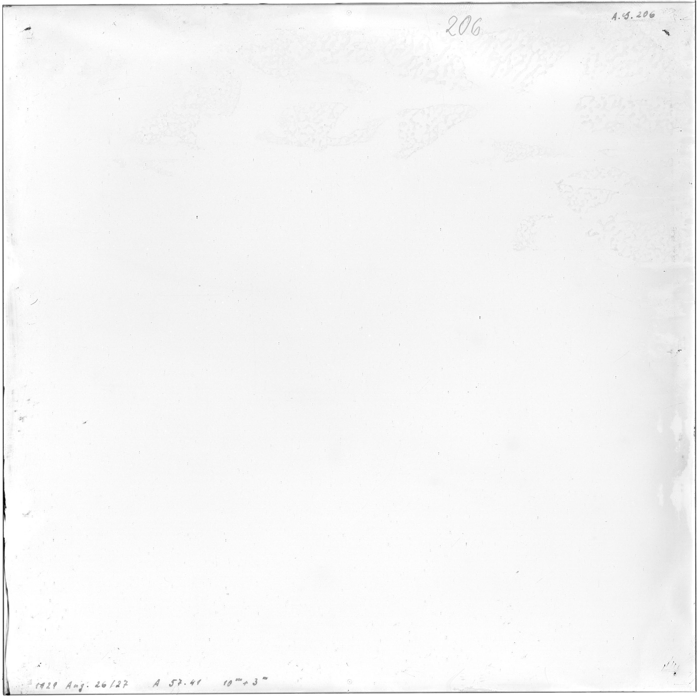 Scan AG00206