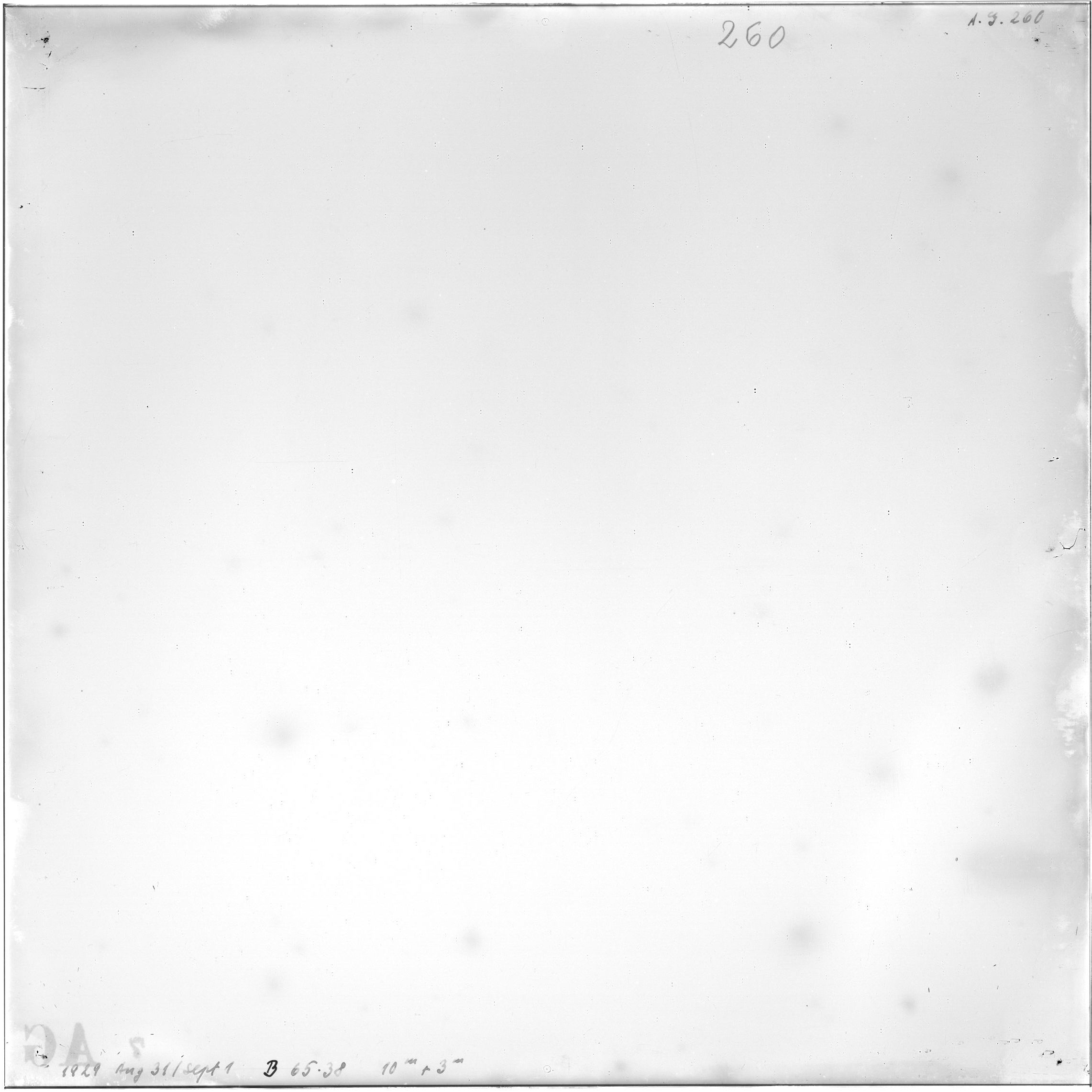 Scan AG00260