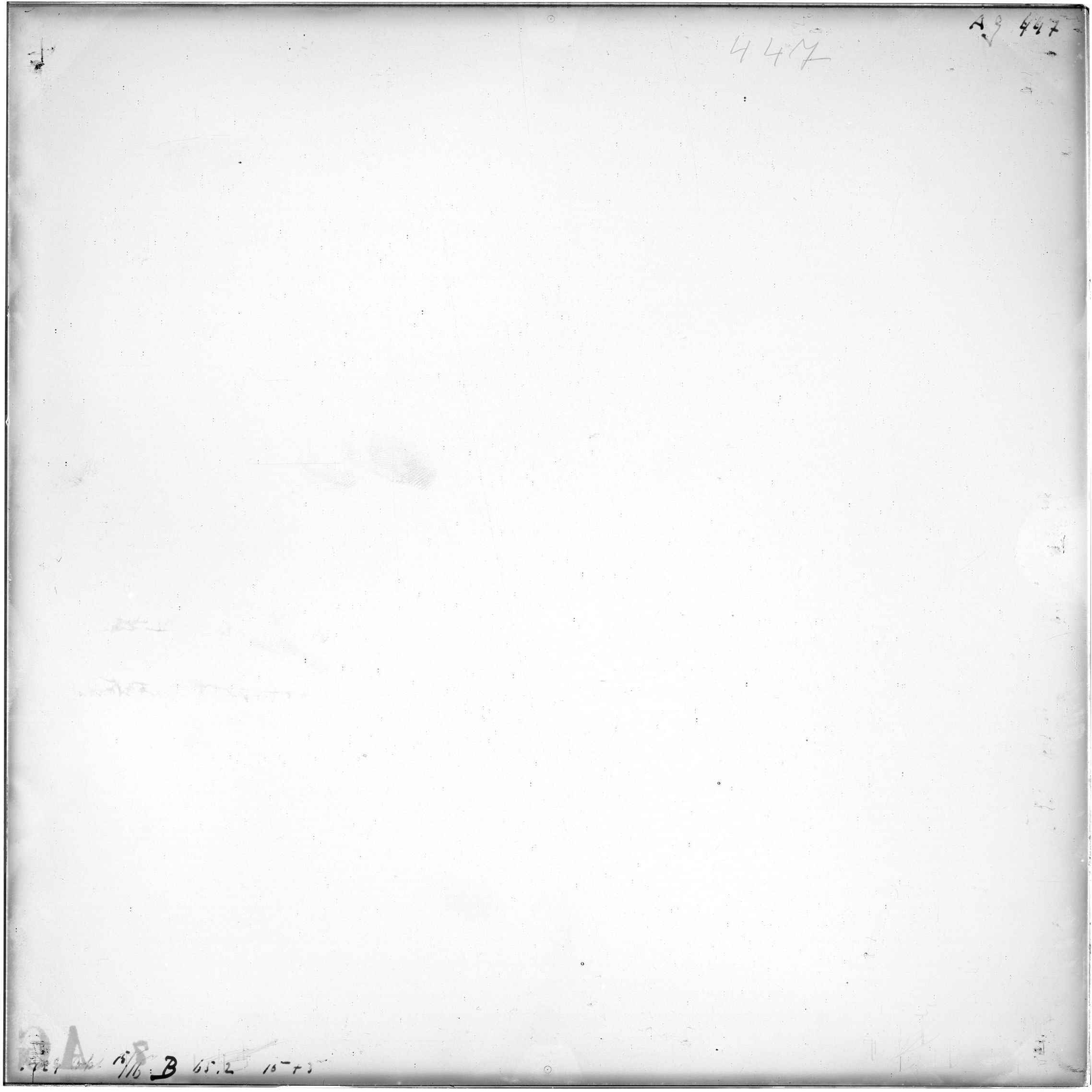 Scan AG00447