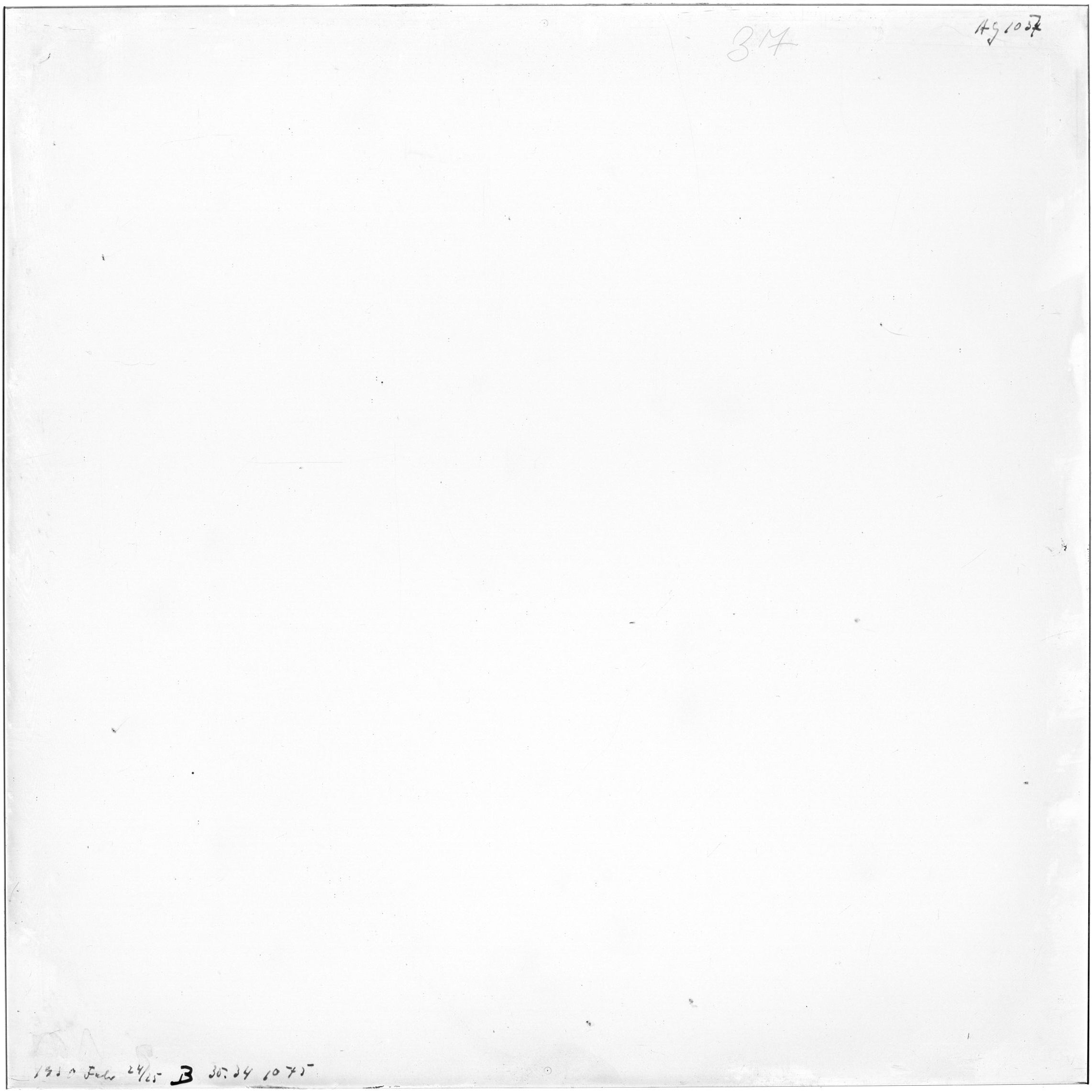 Scan AG01037