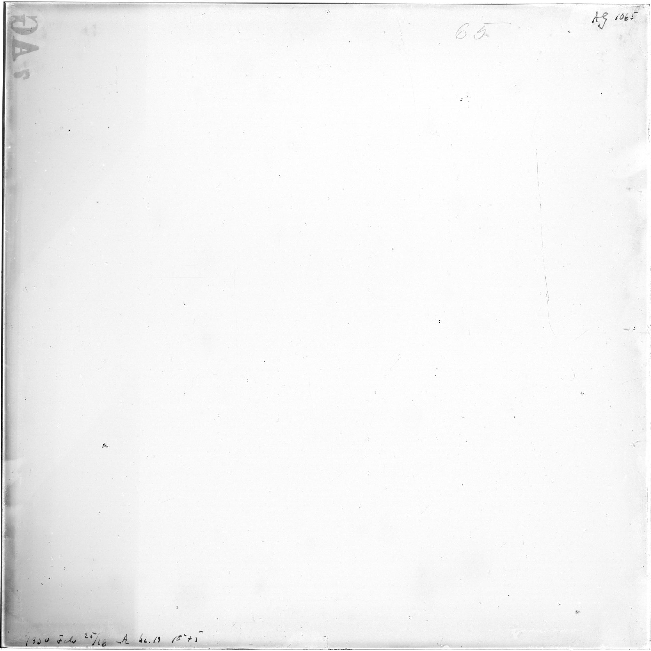 Scan AG01065
