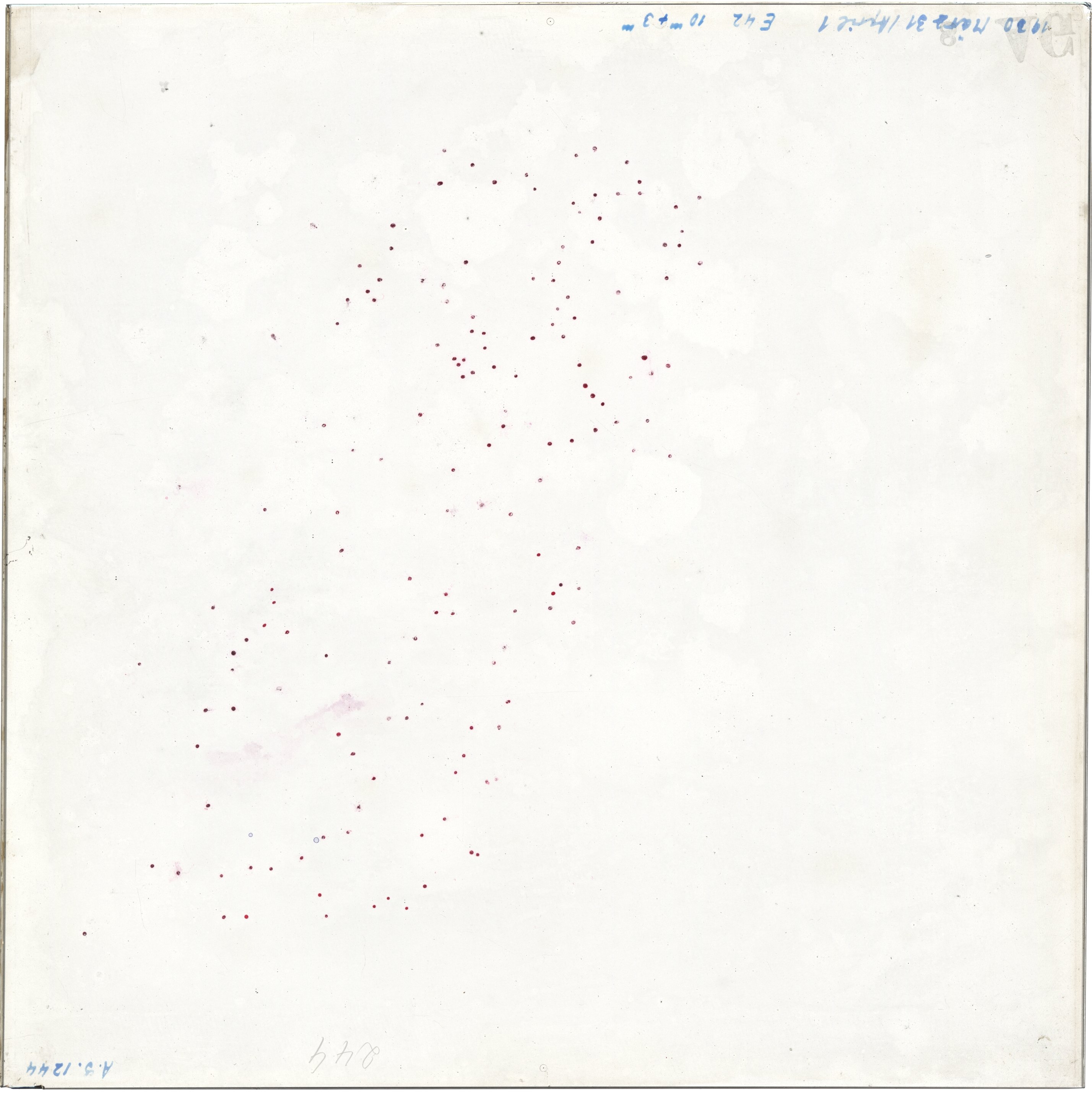 Scan AG01244