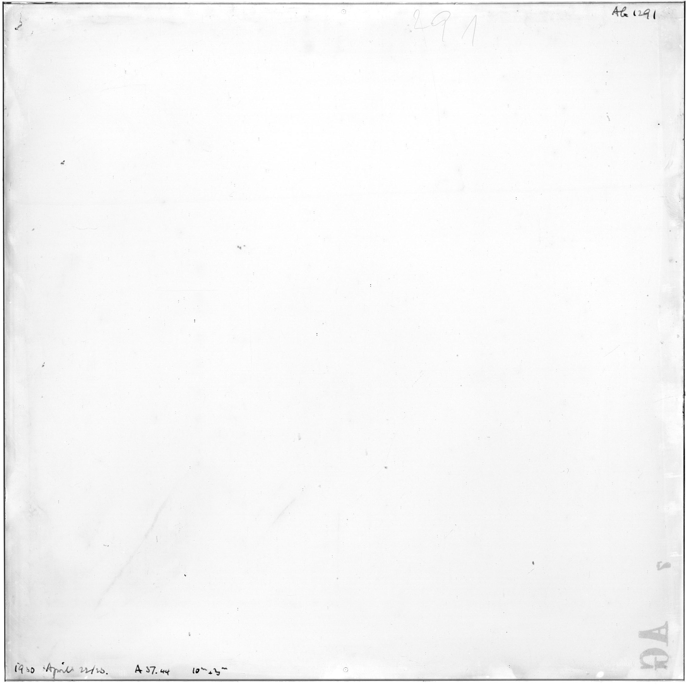 Scan AG01291