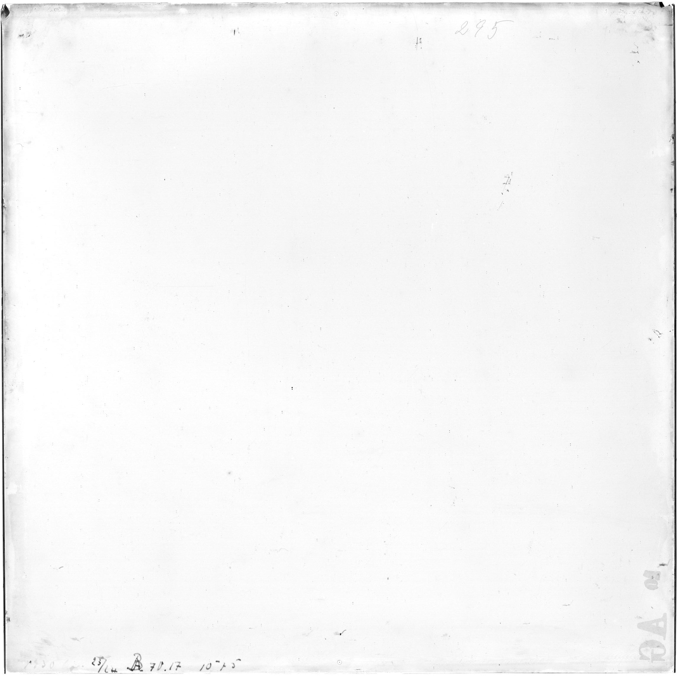 Scan AG01295