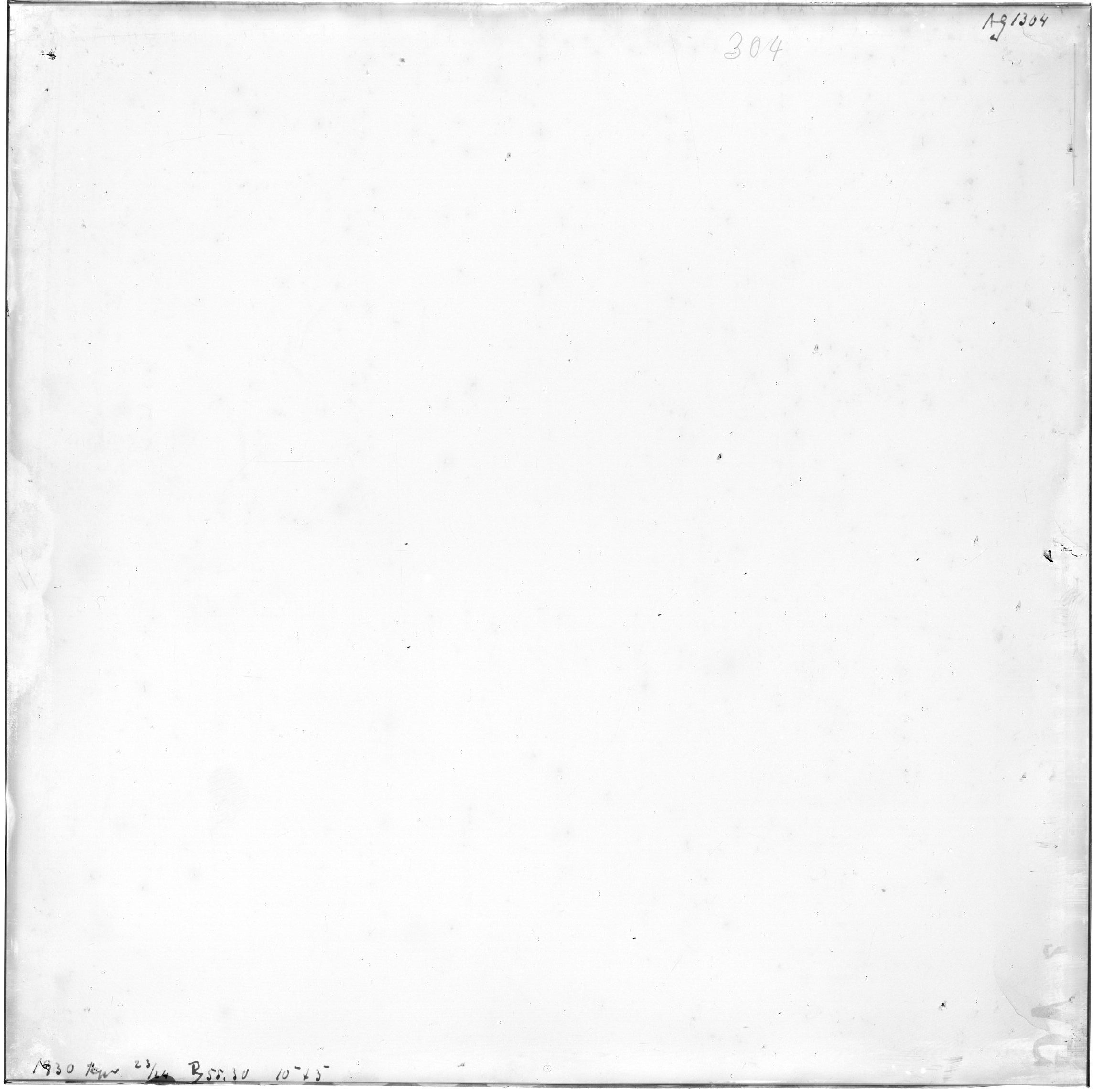 Scan AG01304