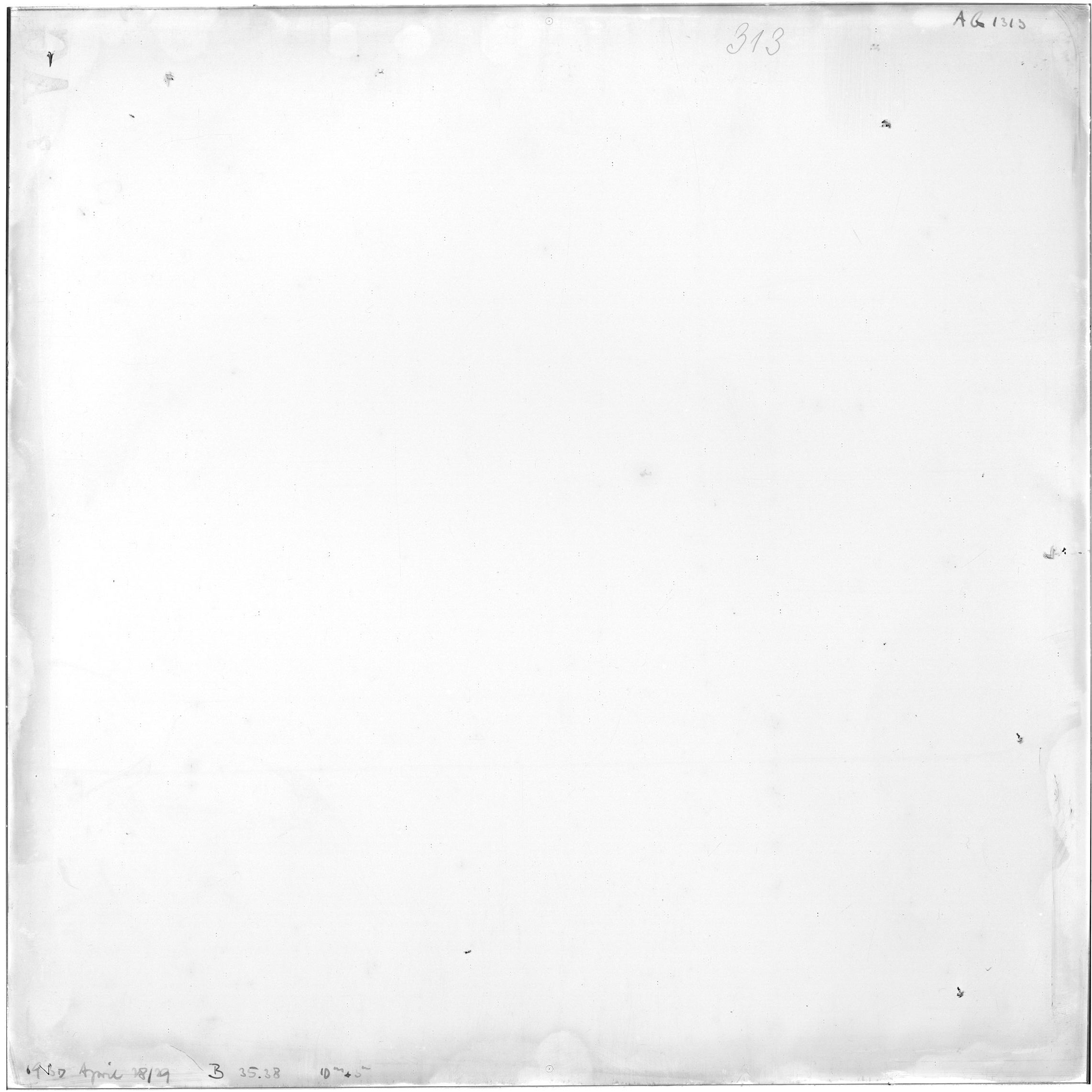 Scan AG01313