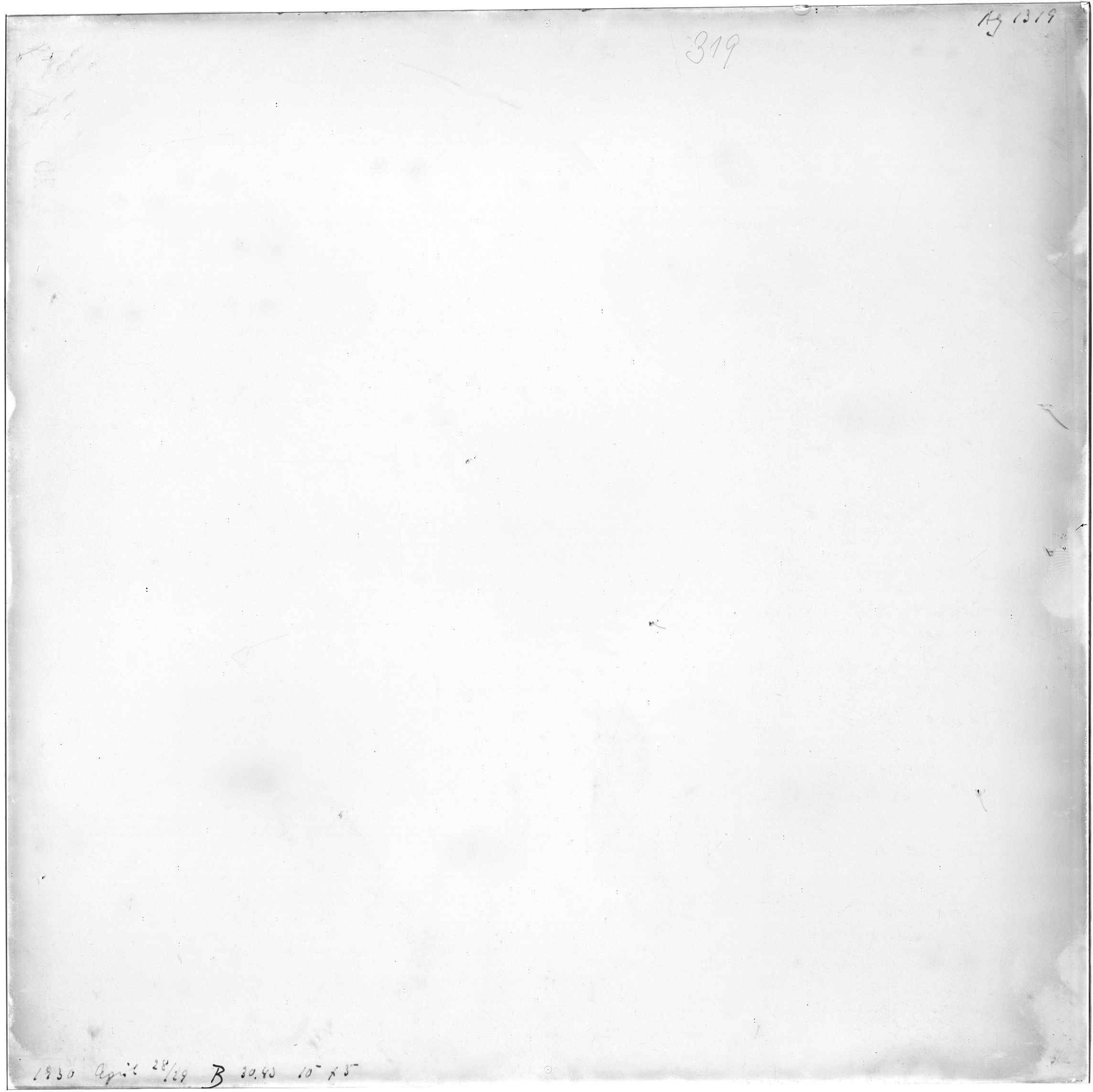 Scan AG01319