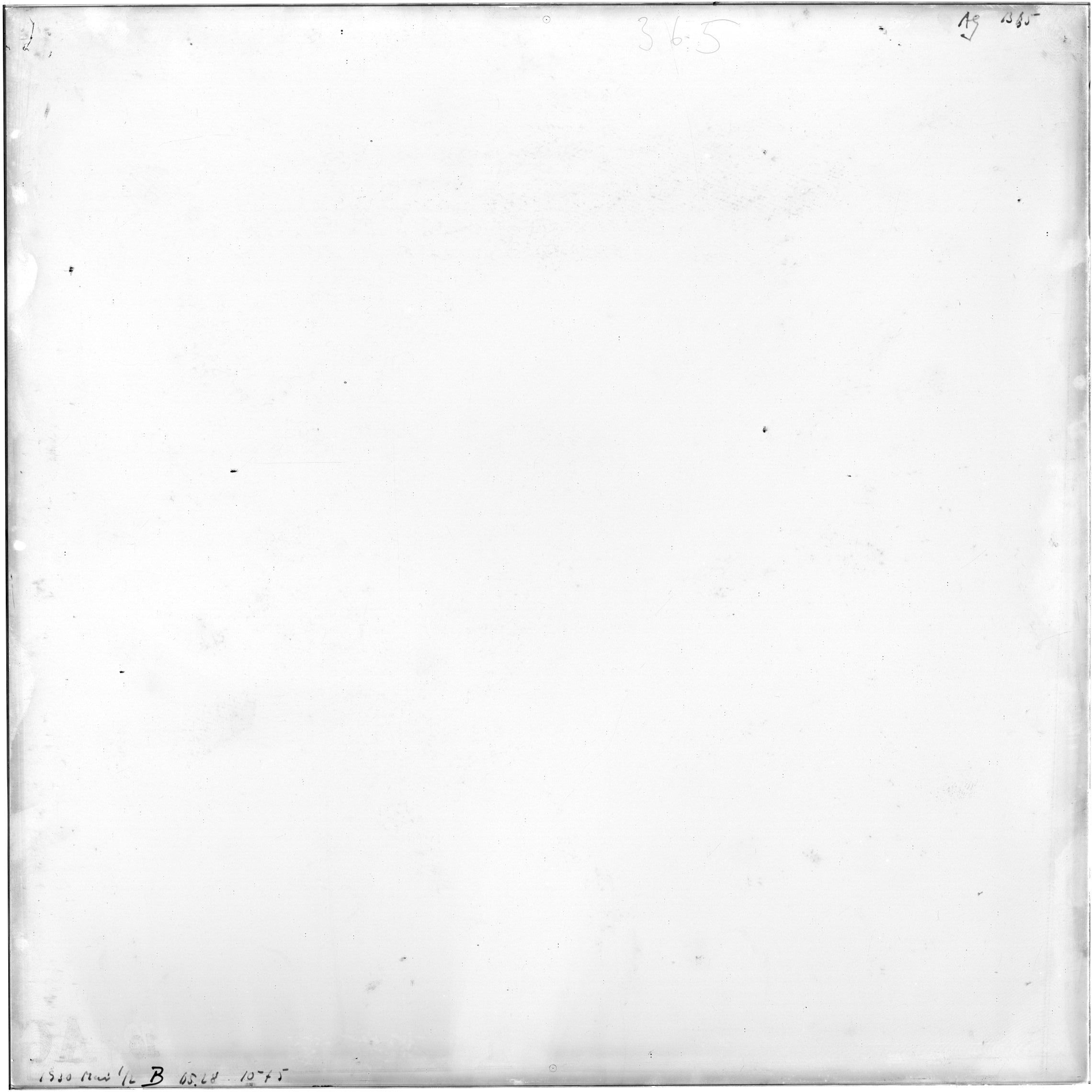 Scan AG01365