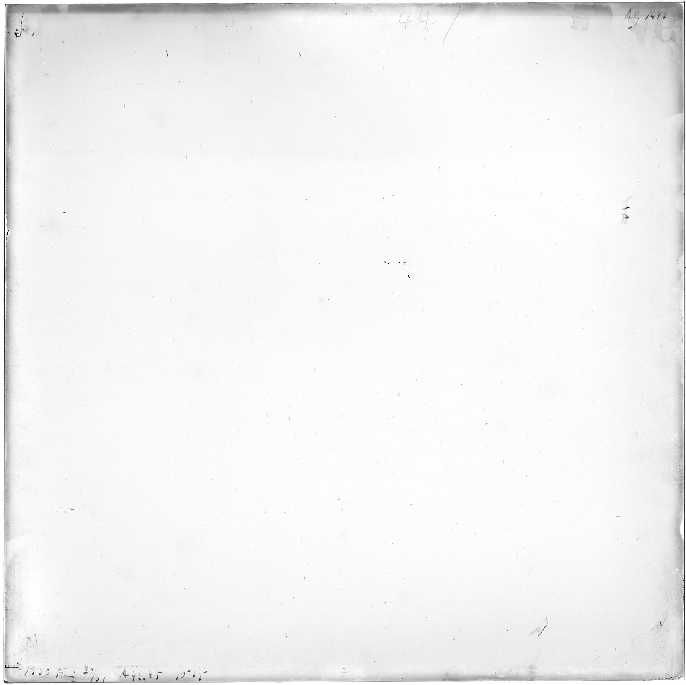 Scan AG01447