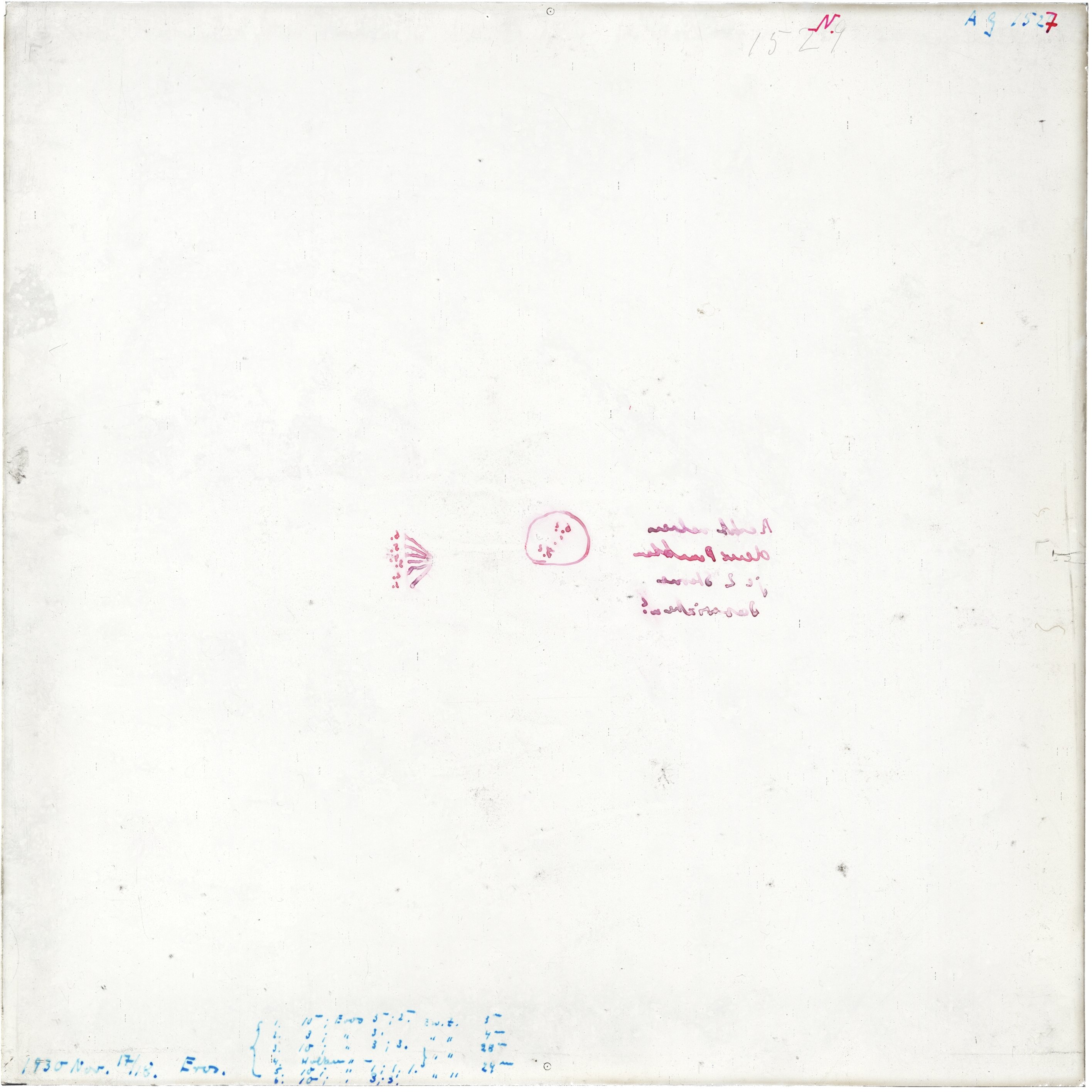 Scan AG01527