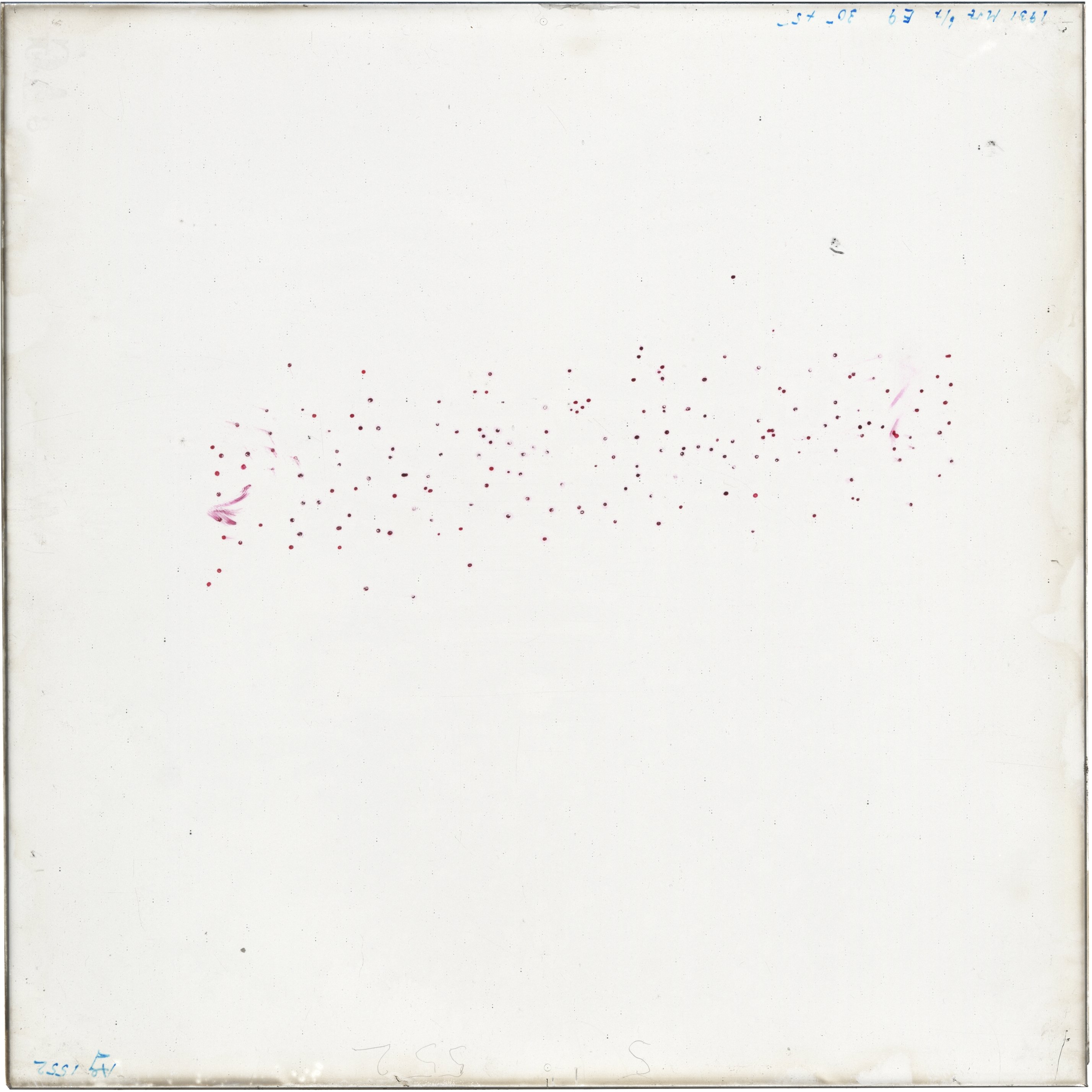 Scan AG01552