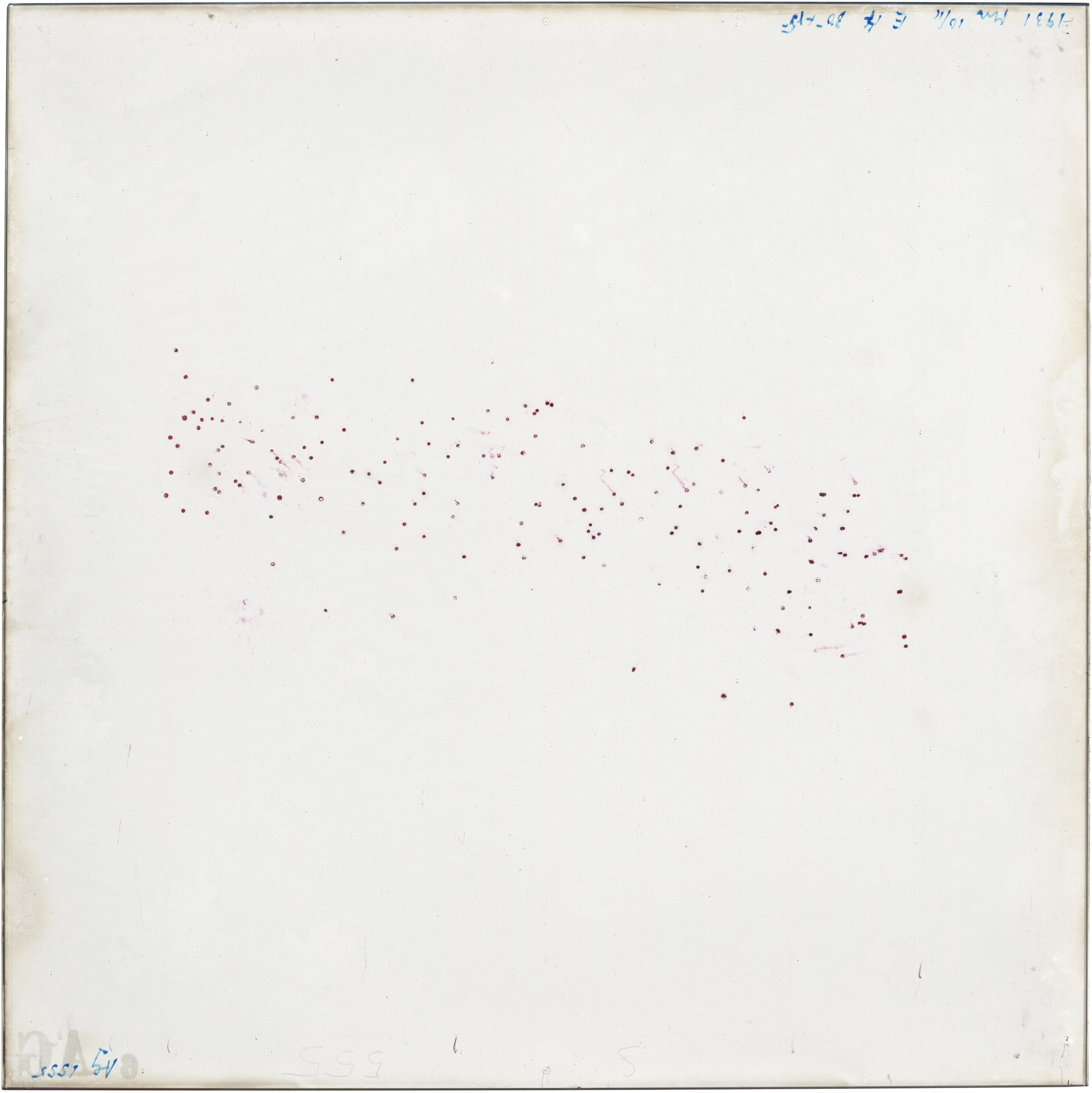 Scan AG01555