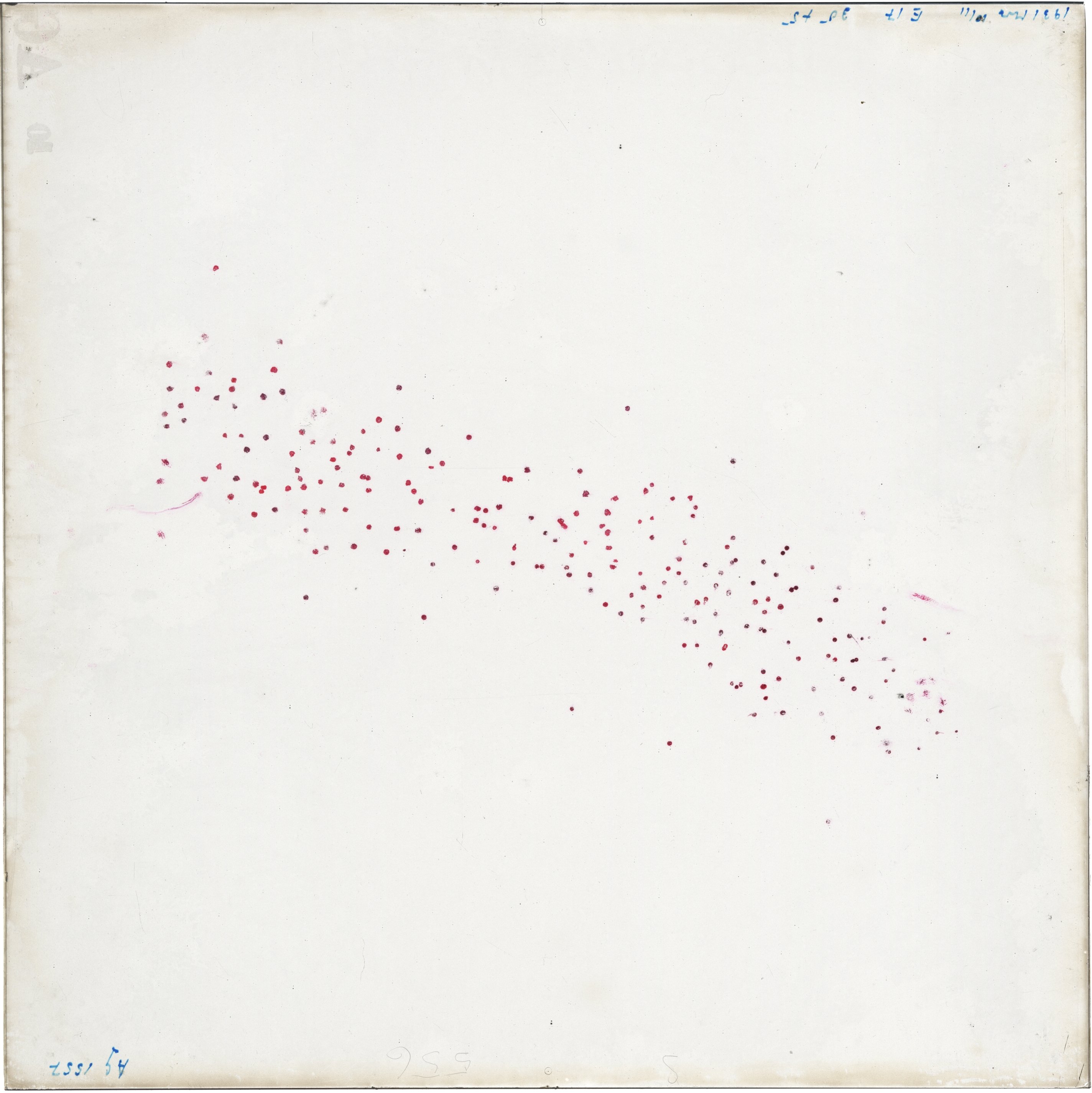 Scan AG01556