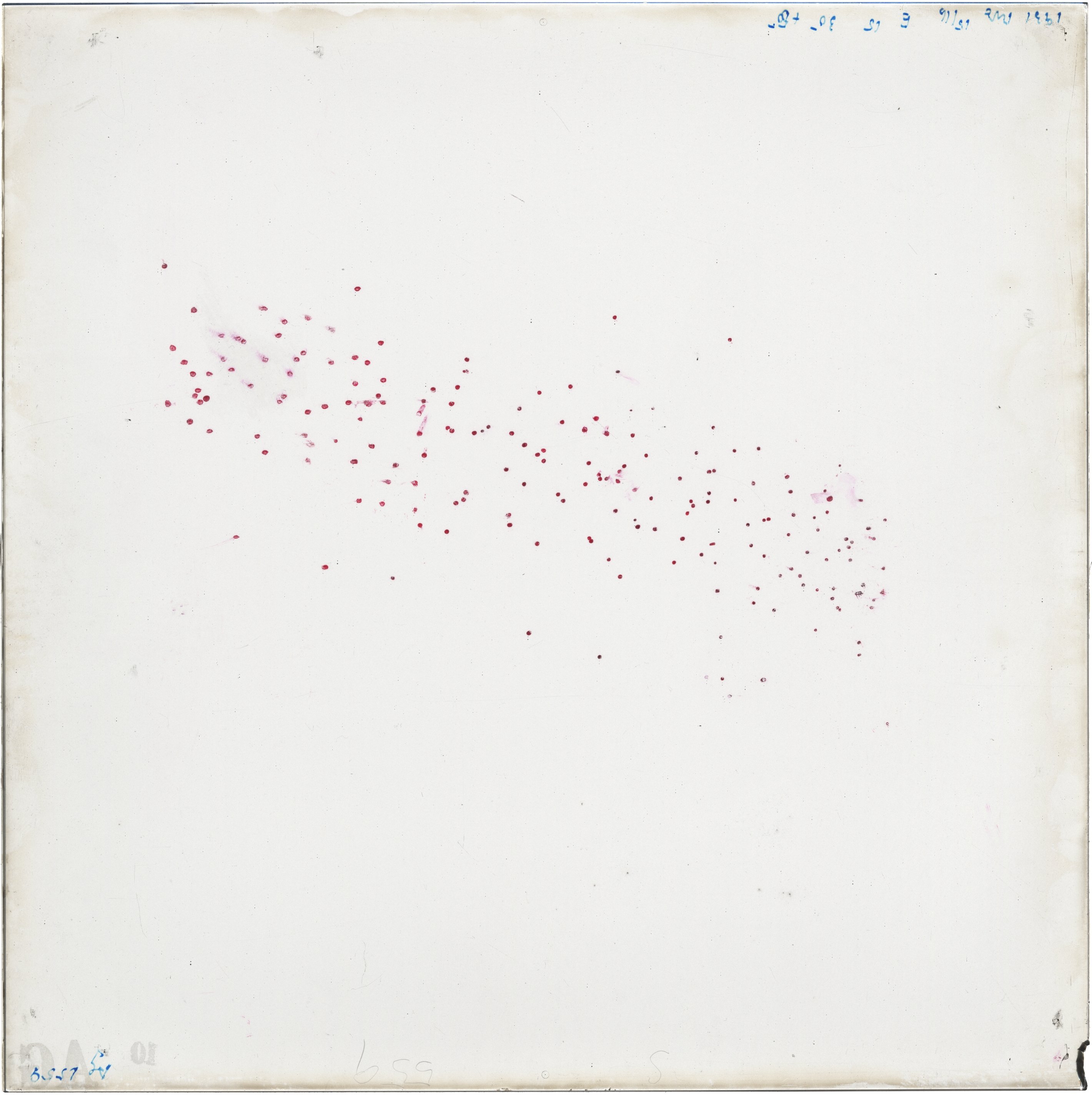 Scan AG01559