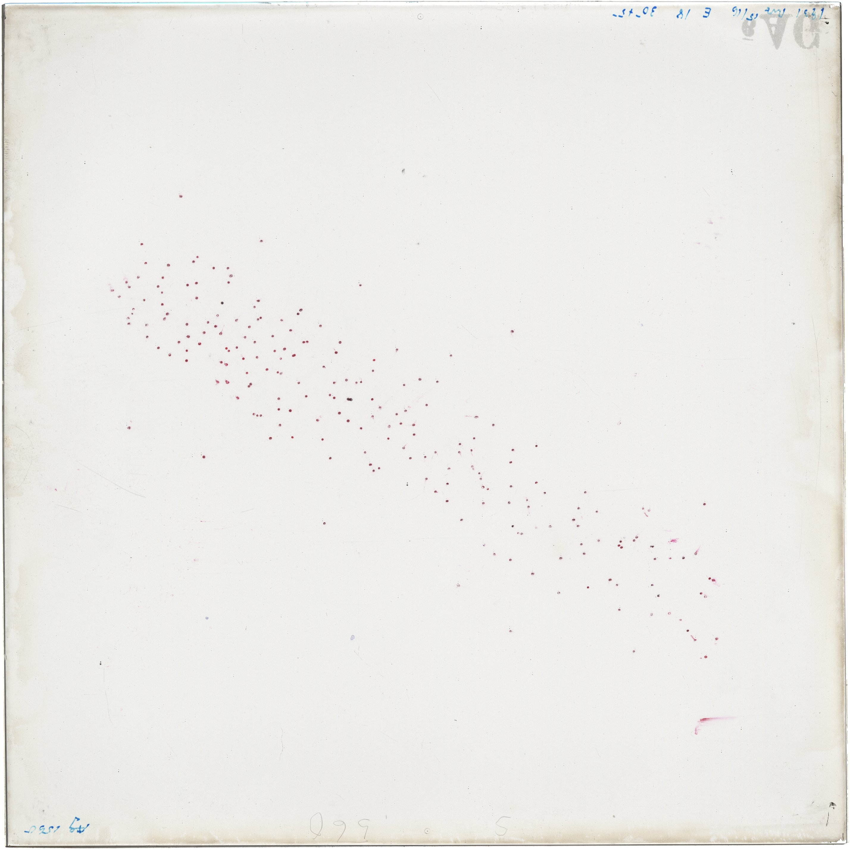 Scan AG01560