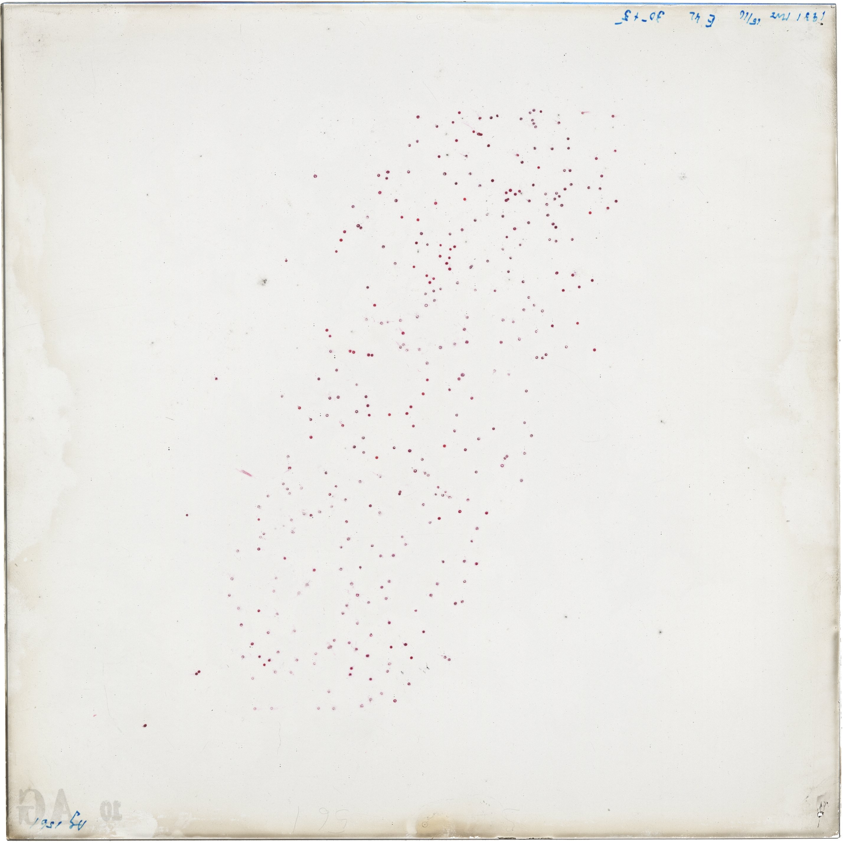 Scan AG01561