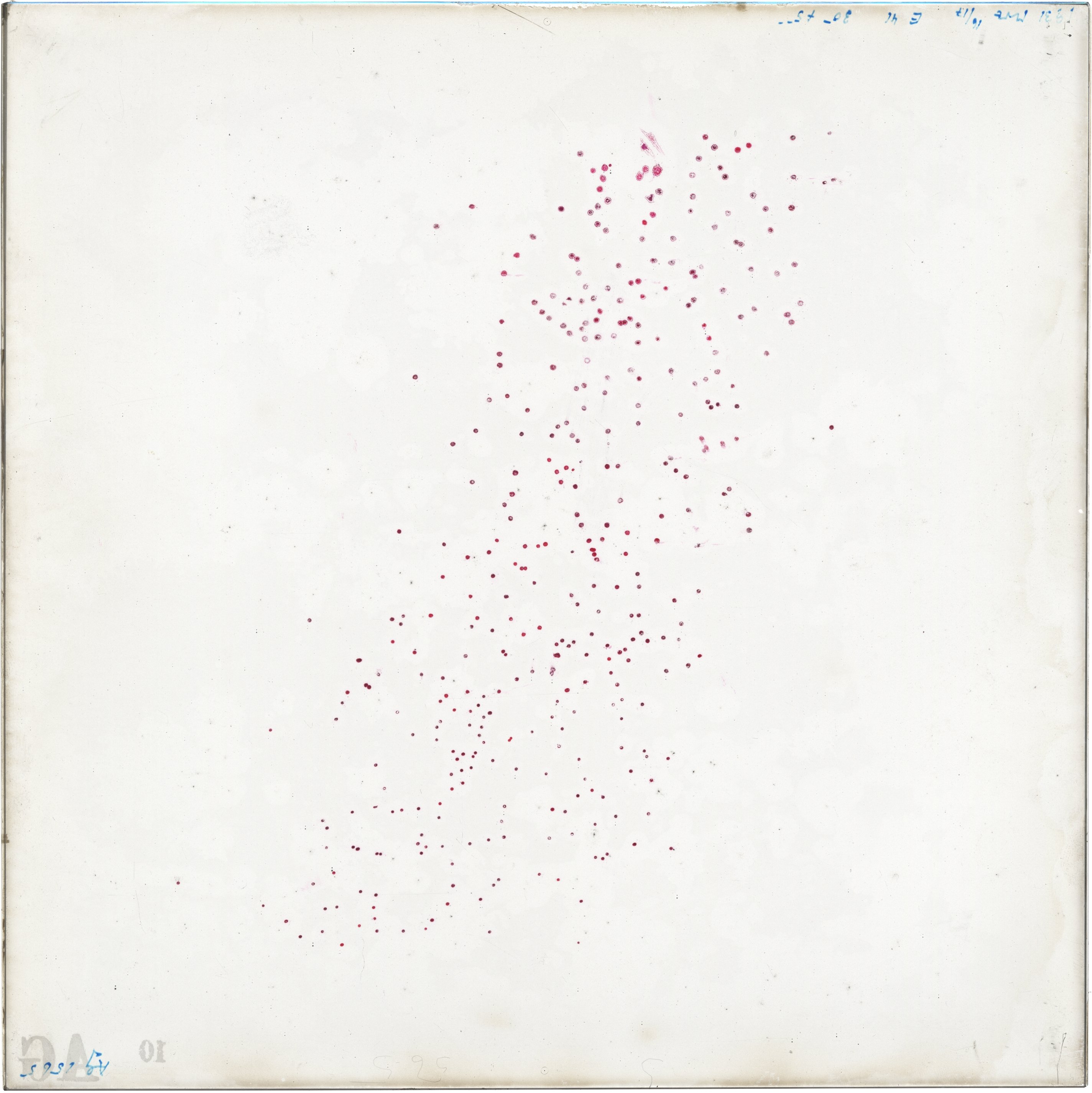 Scan AG01565