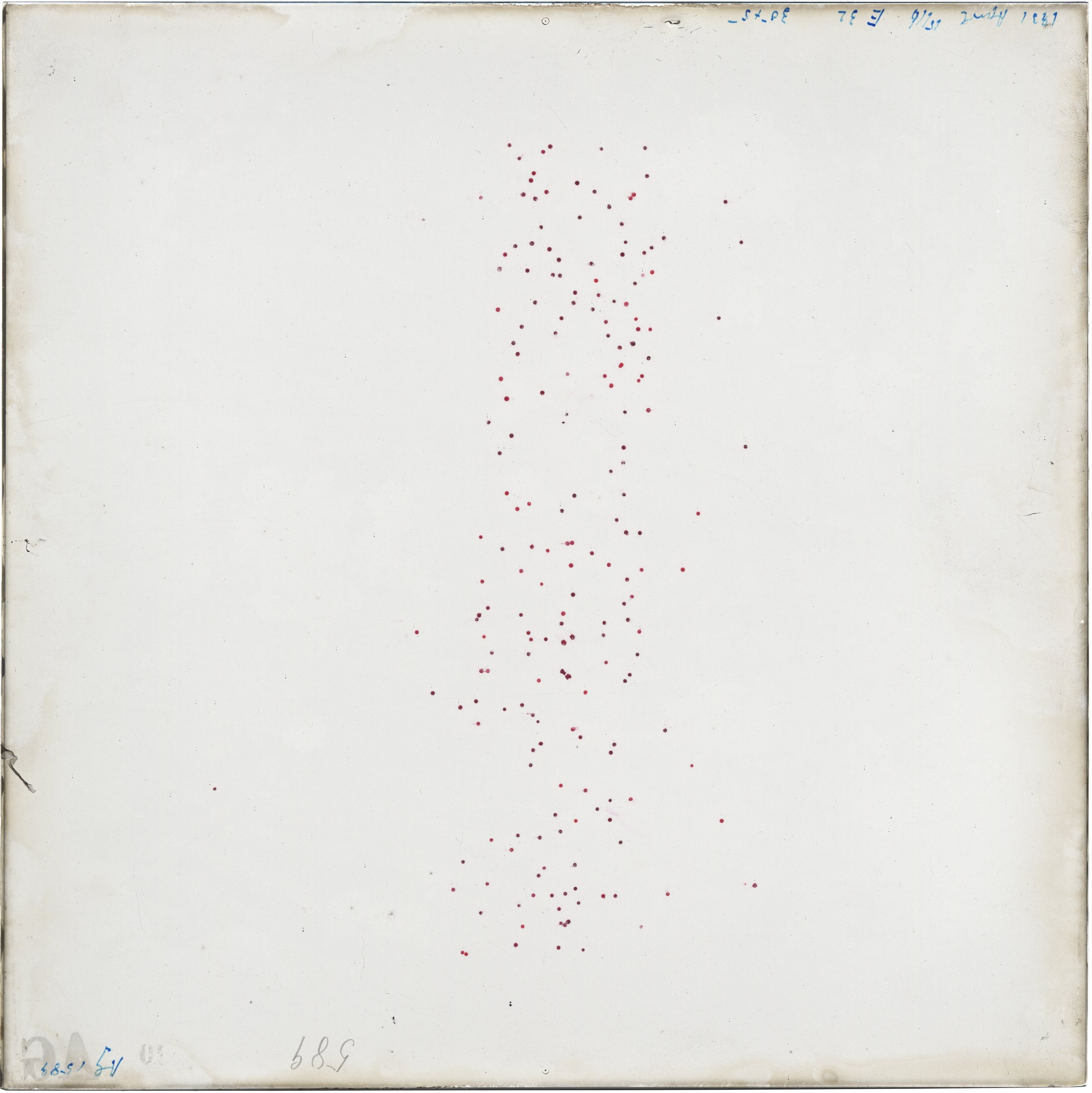 Scan AG01589