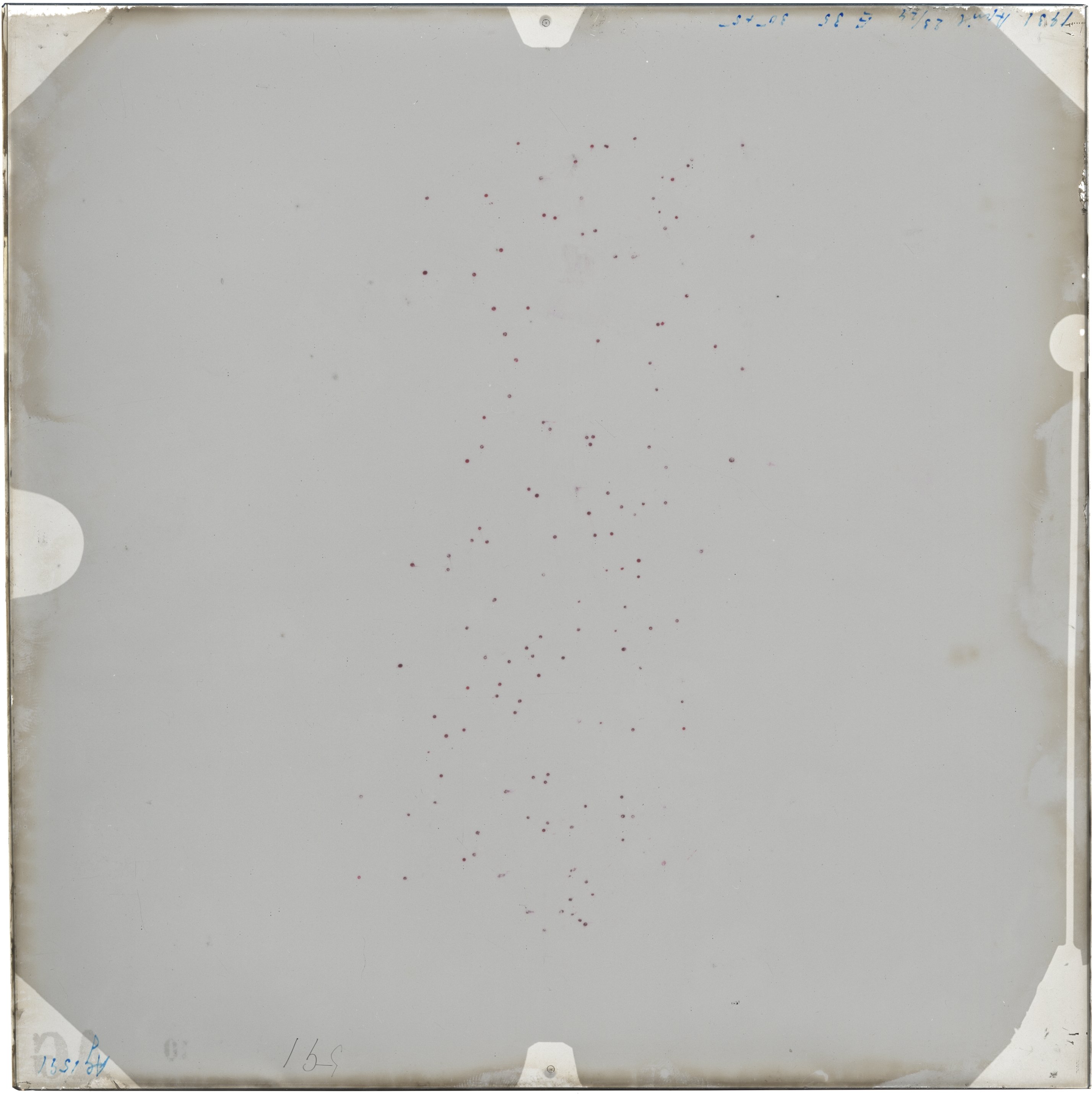 Scan AG01591