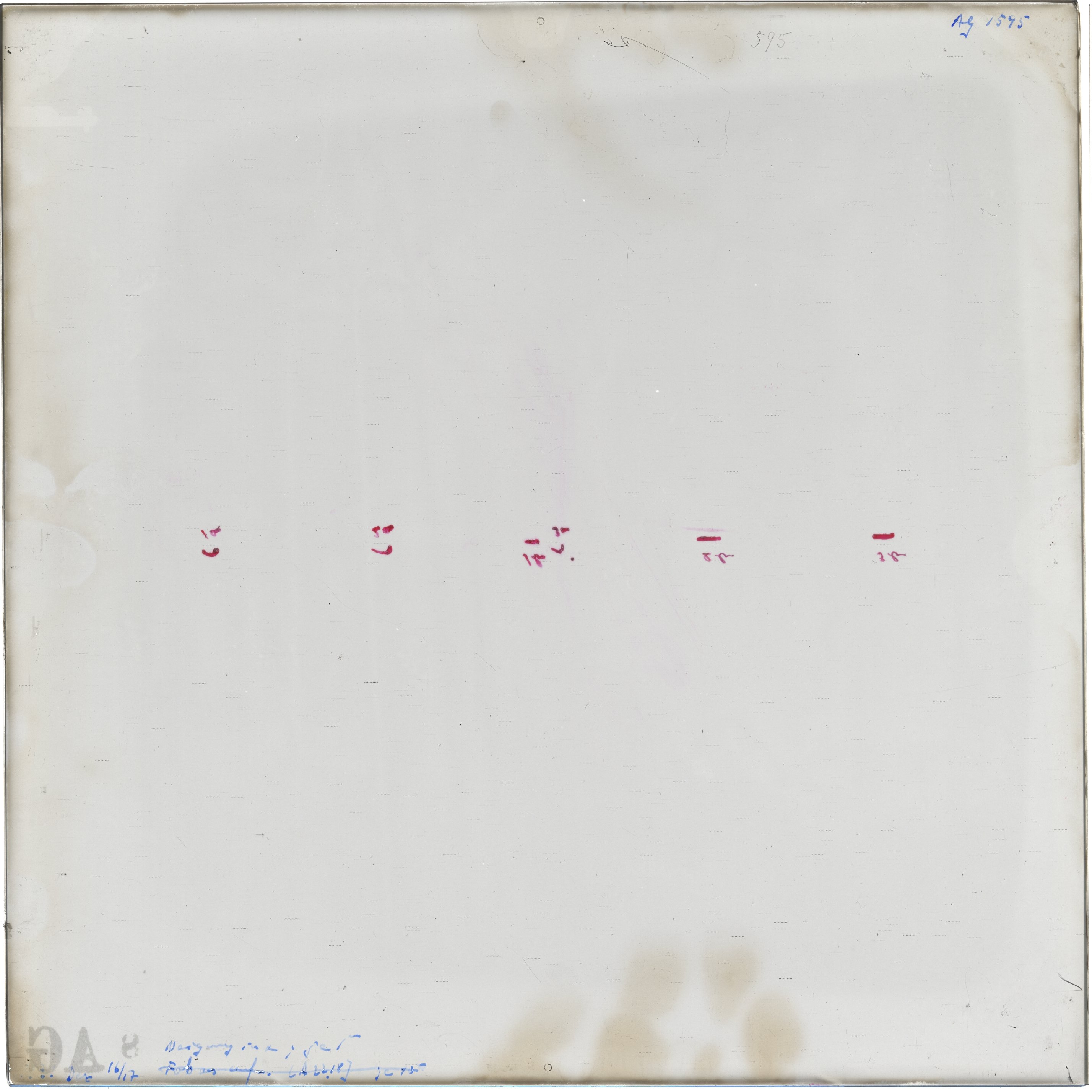 Scan AG01595