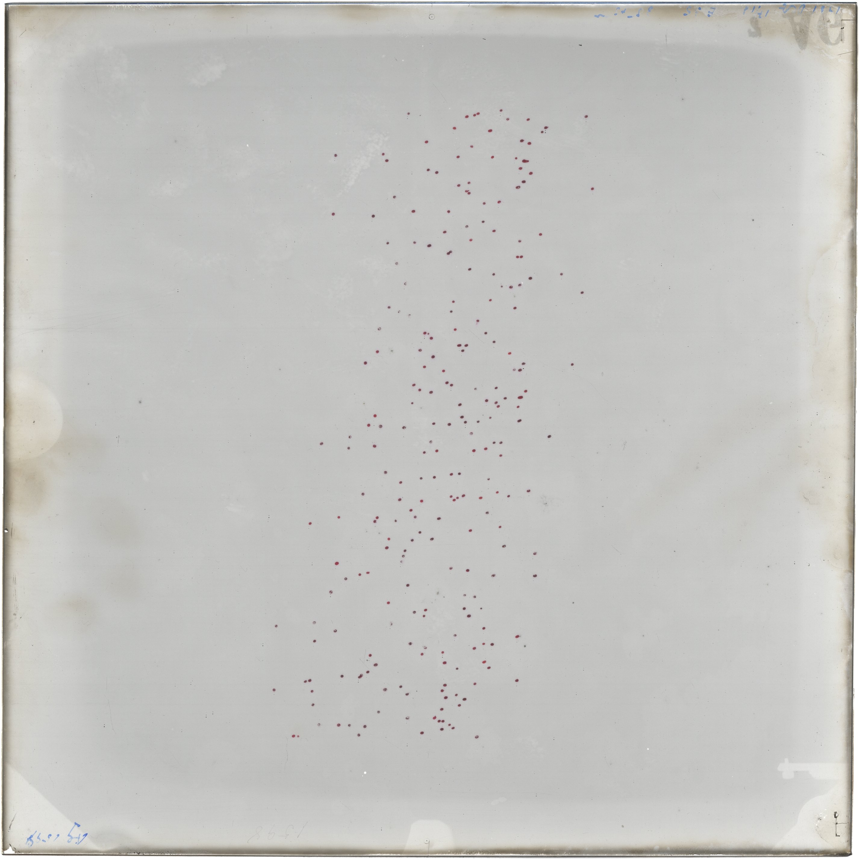 Scan AG01599