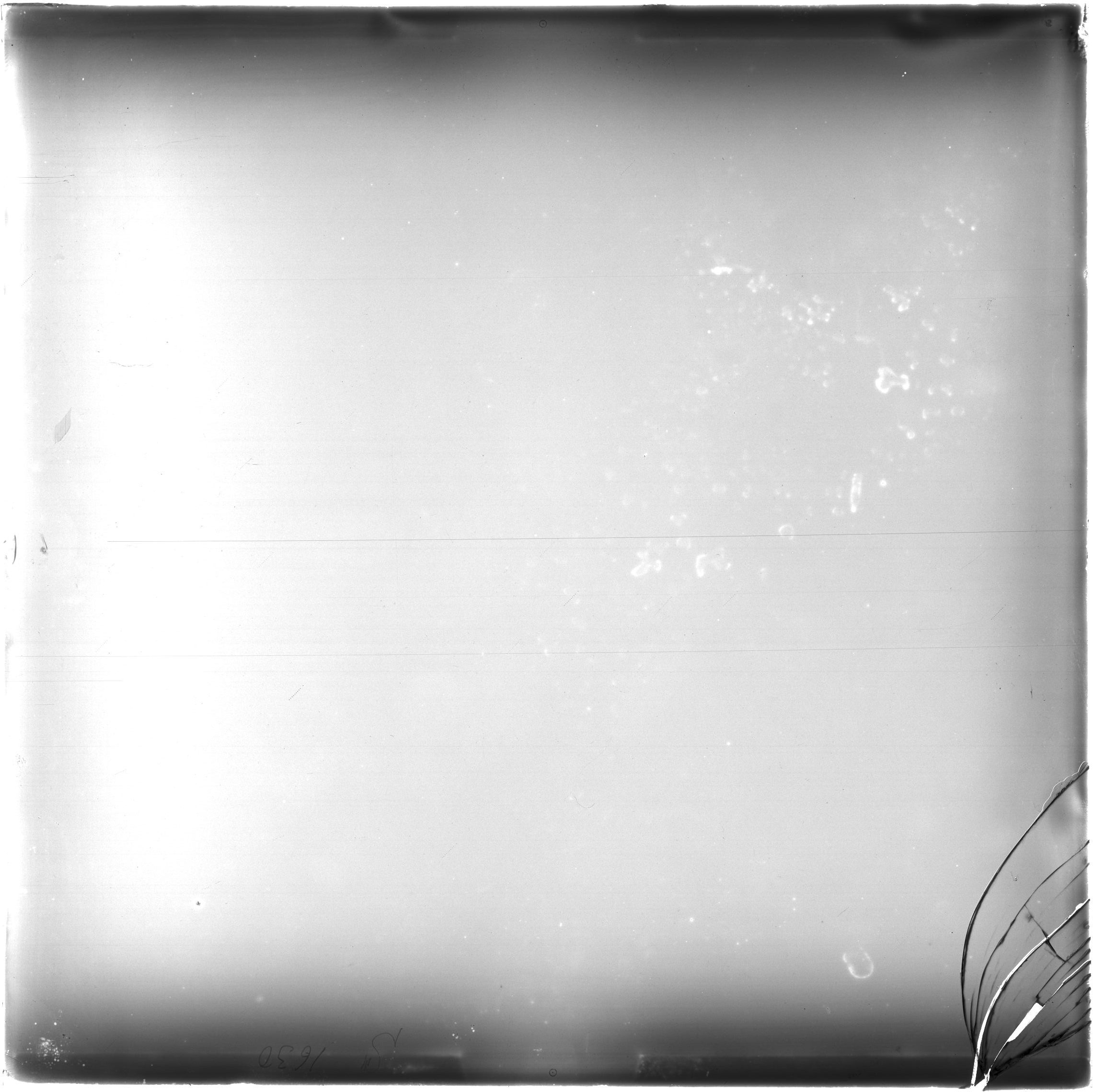 Scan AG01630