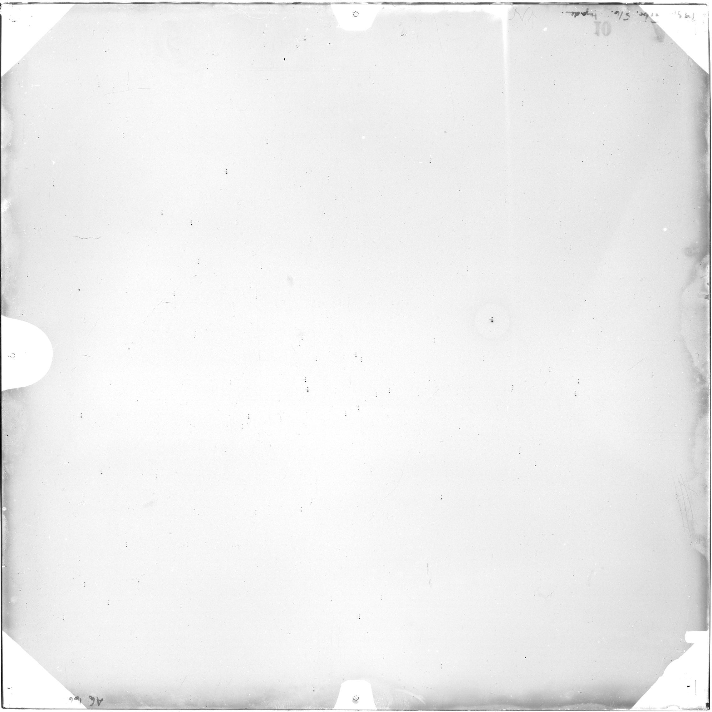 Scan AG01667