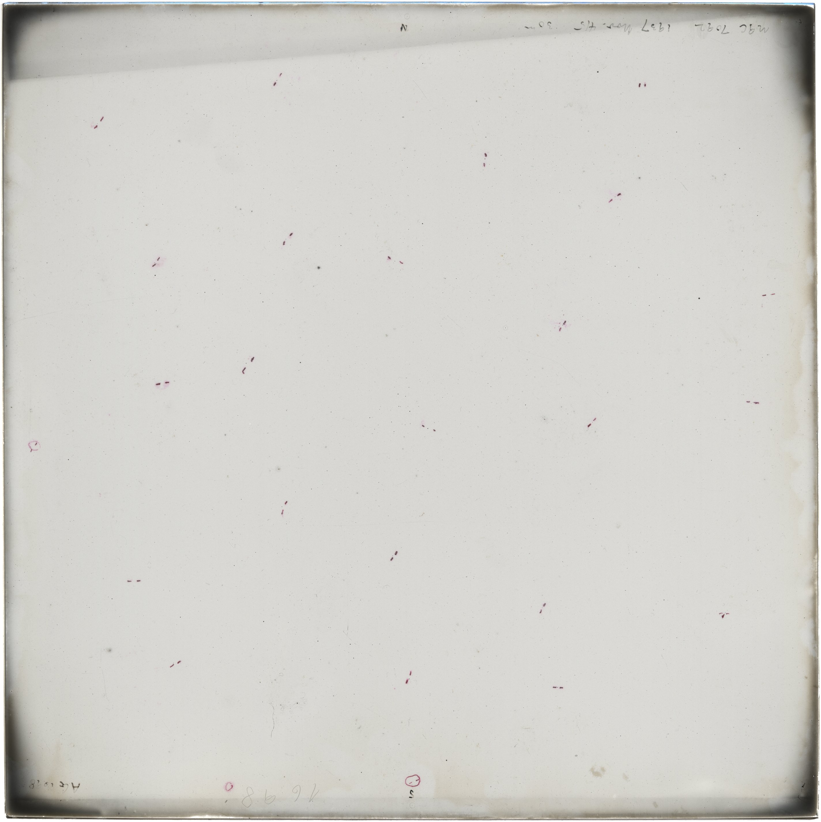 Scan AG01698