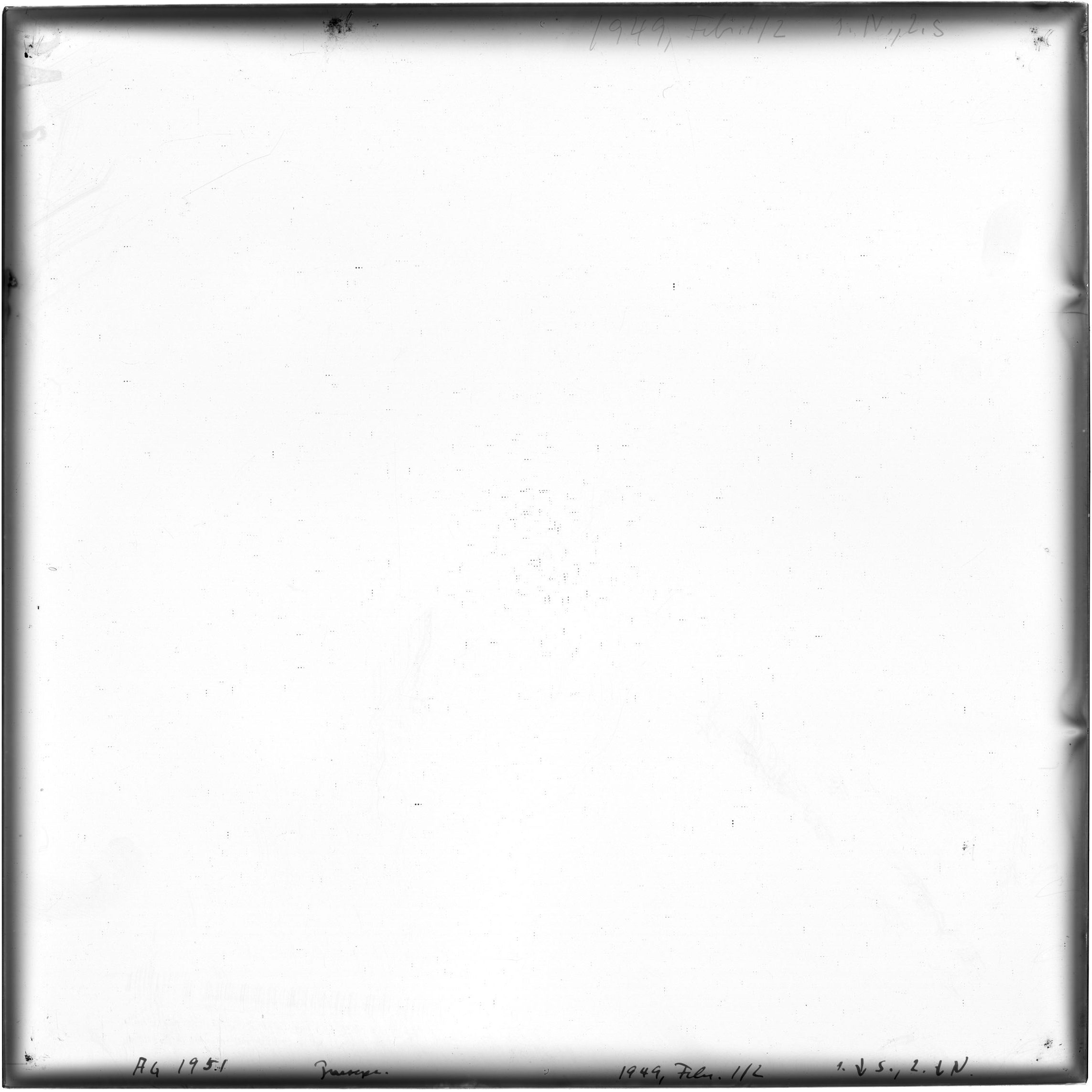 Scan AG01951