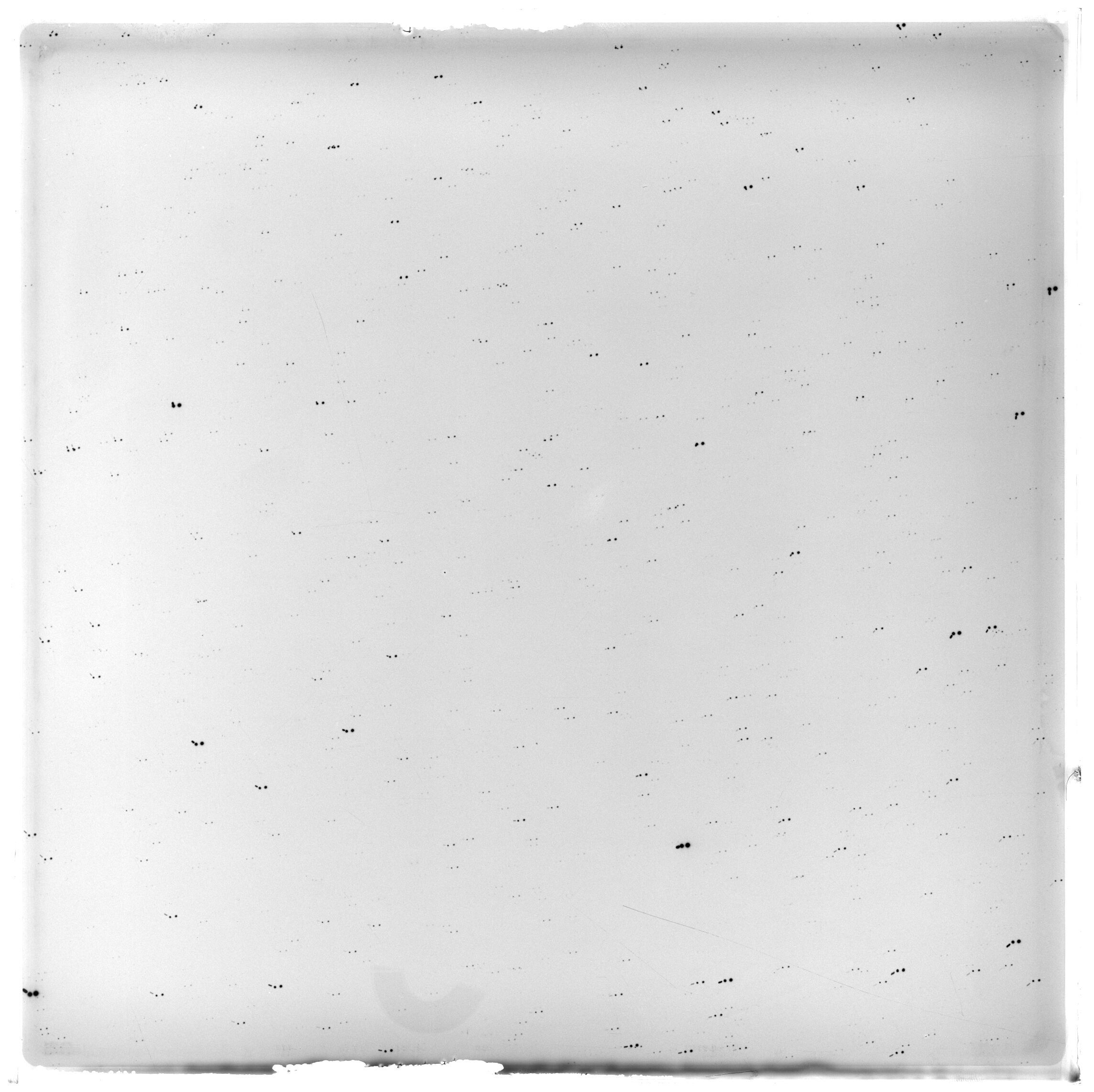Scan CA06131z