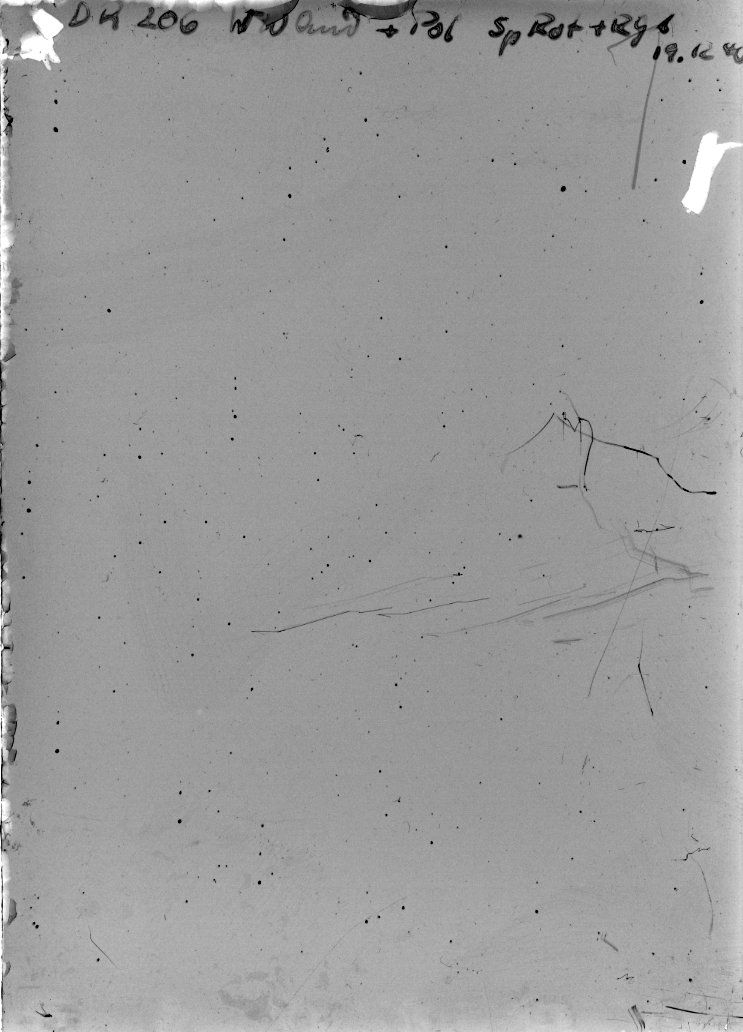 Scan DR00206