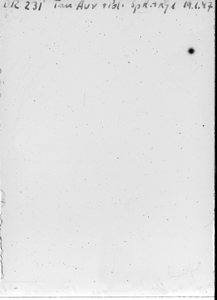 Scan DR00231