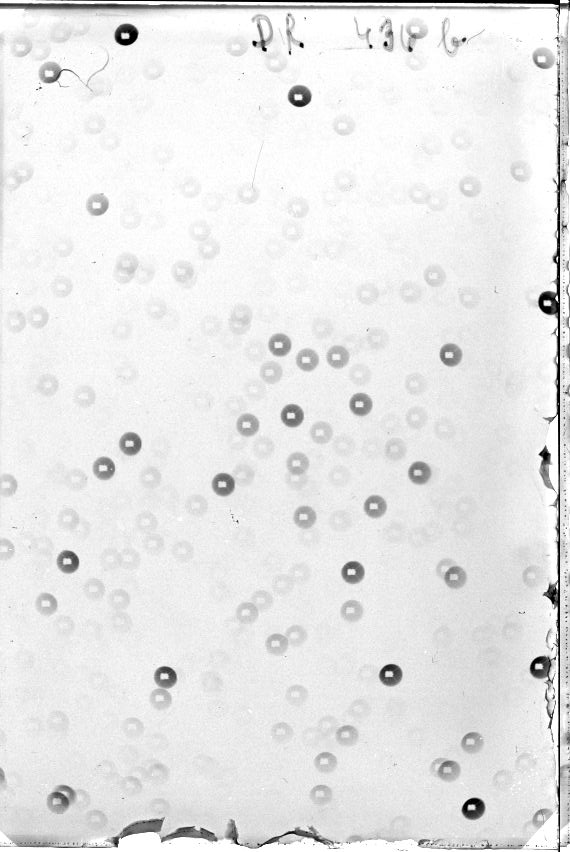 Scan DR00436b
