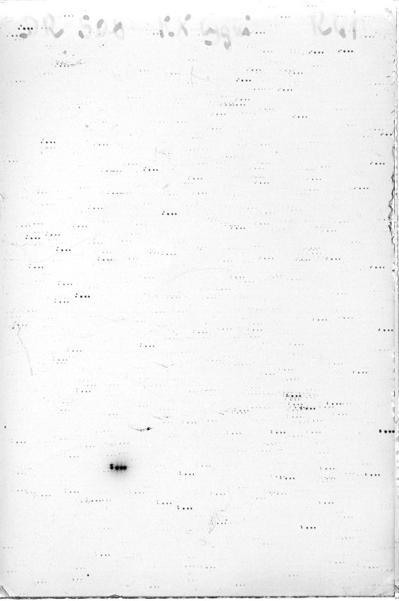 Scan DR00508