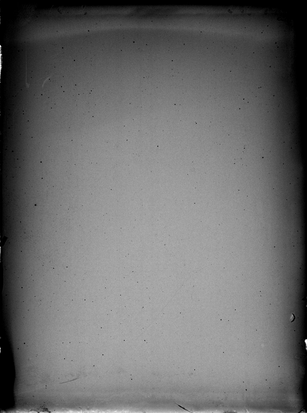 Scan DR00195