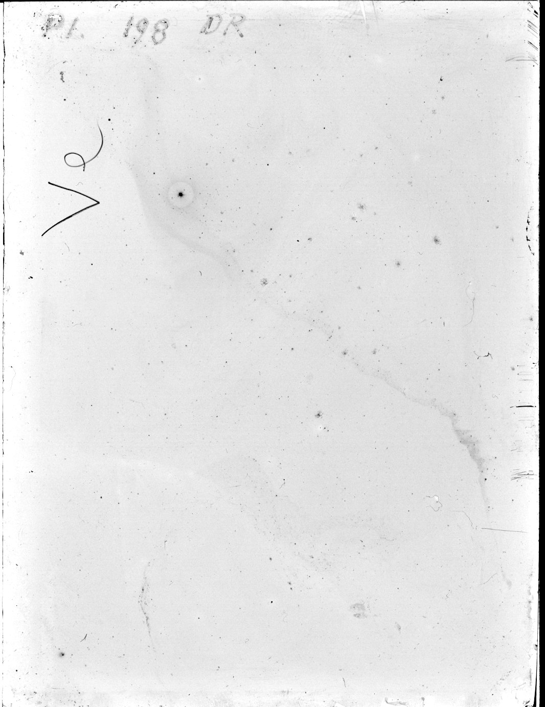 Scan DR00198