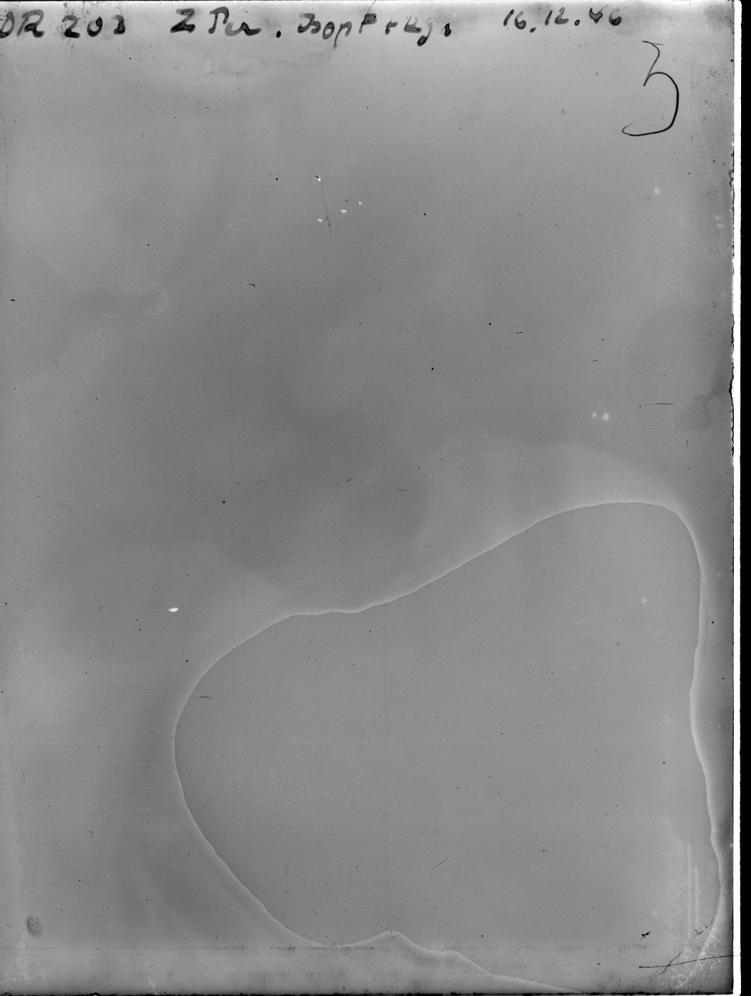 Scan DR00203