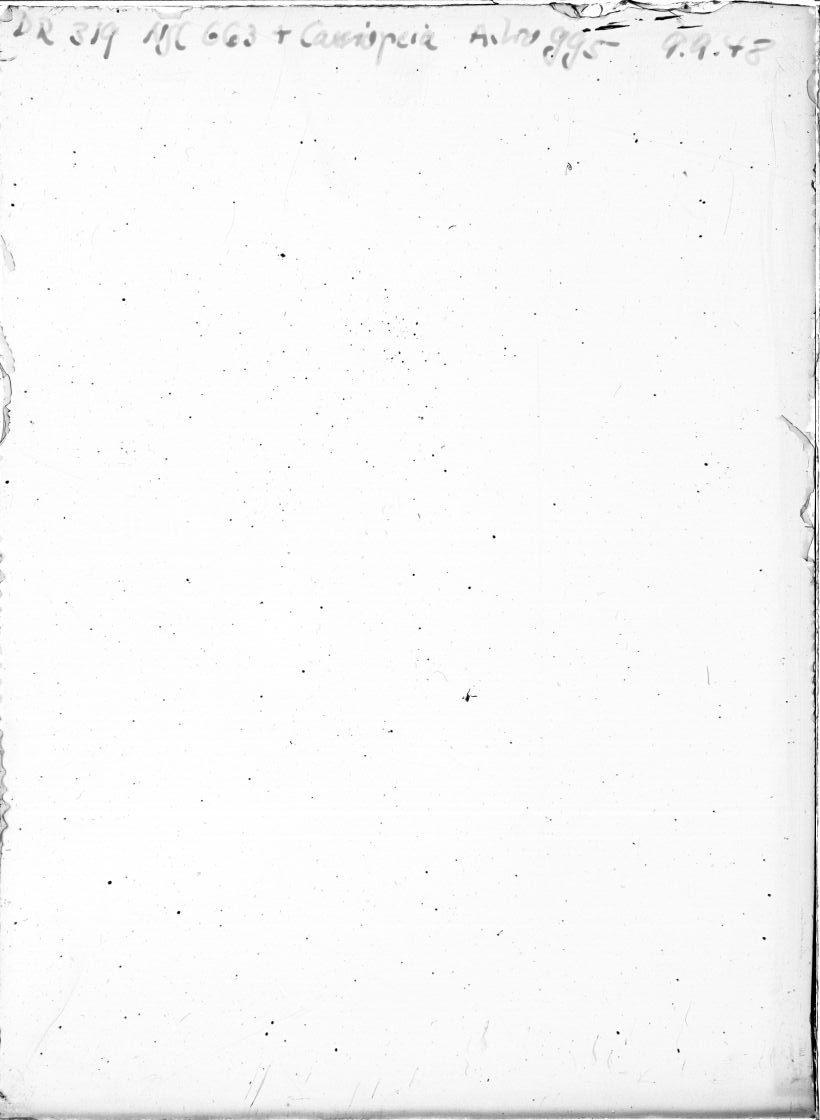 Scan DR00319