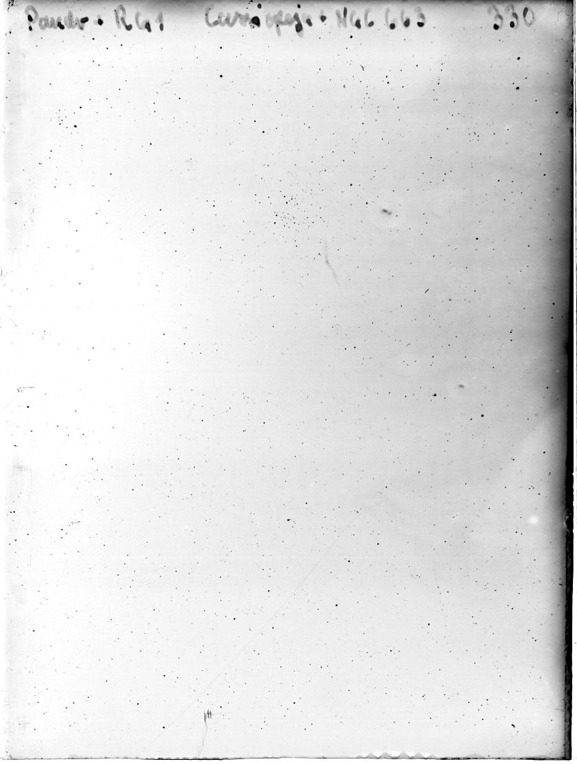 Scan DR00330